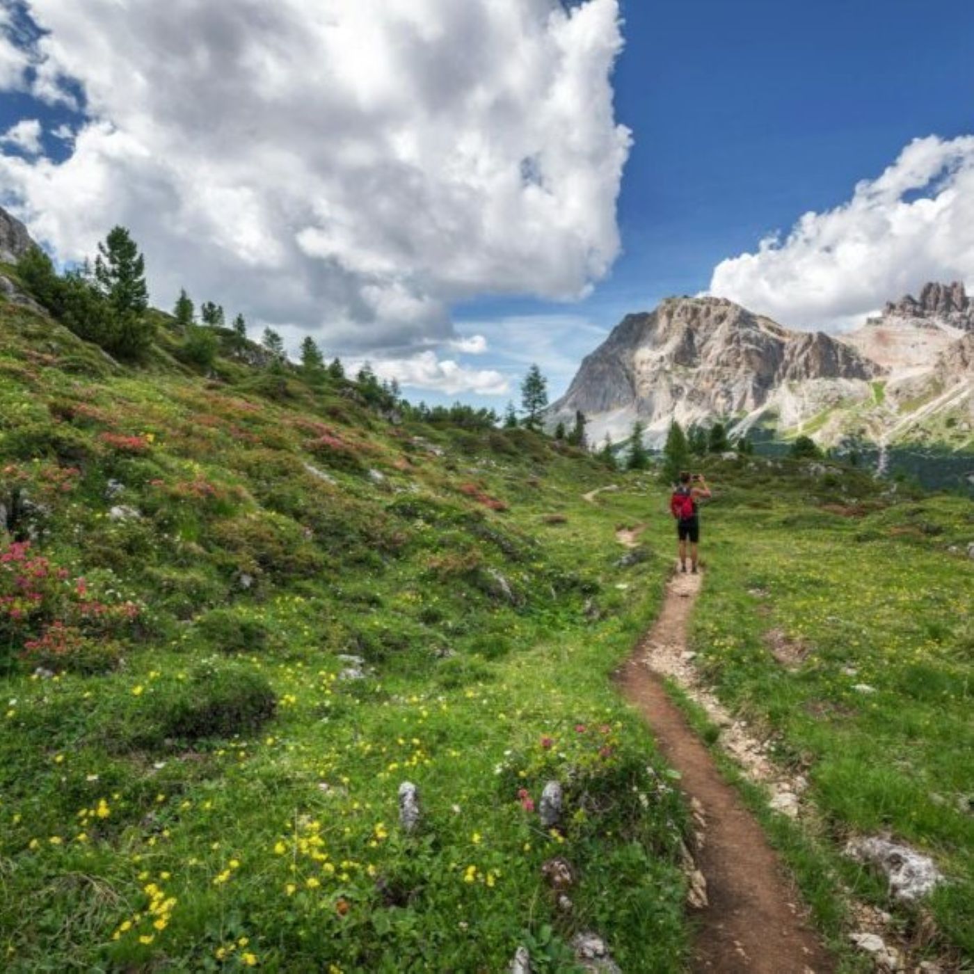 Live thru Jesus Weekly Devotions