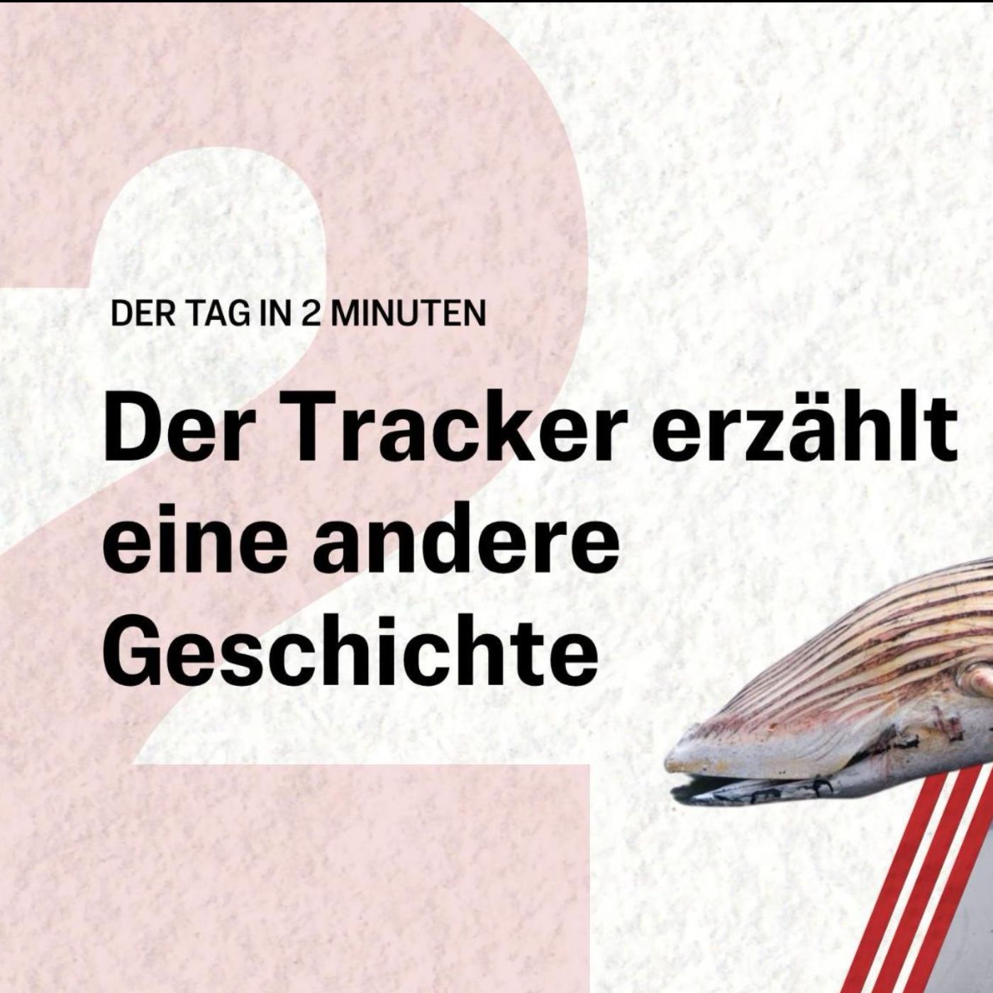 Neue Erkenntnisse zu Buckelwal Timmy | Der Tag in 2 Minuten episode artwork