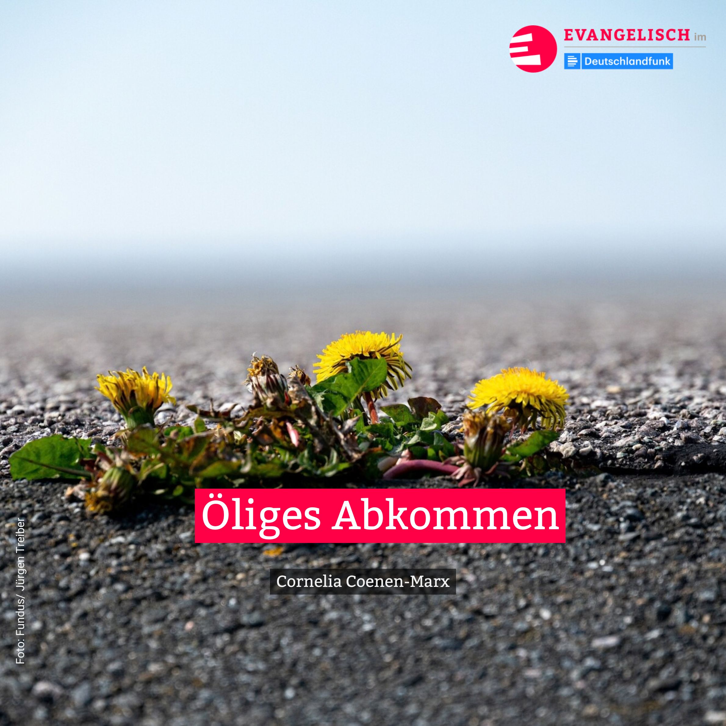 Öliges Abkommen episode artwork