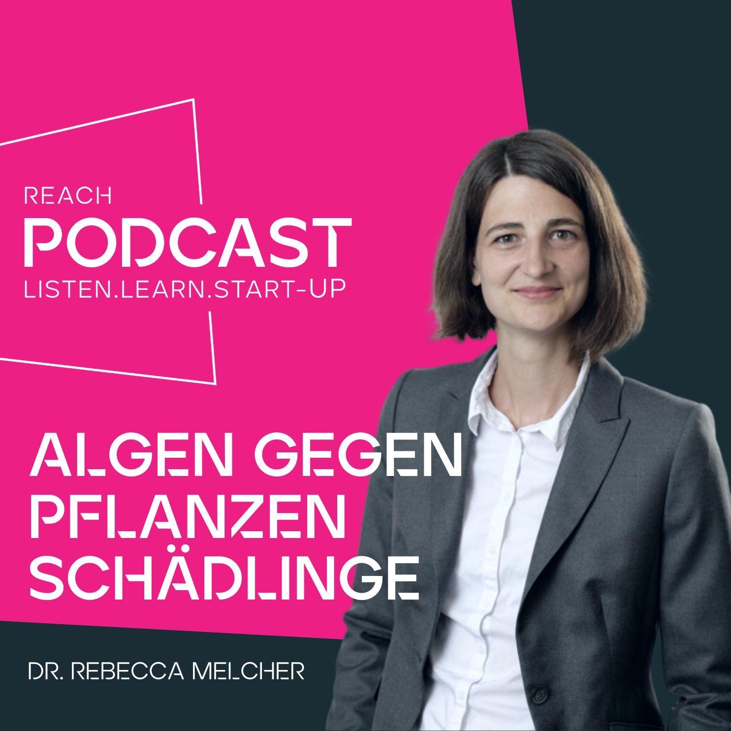 REACH – Listen.Learn.Start-up