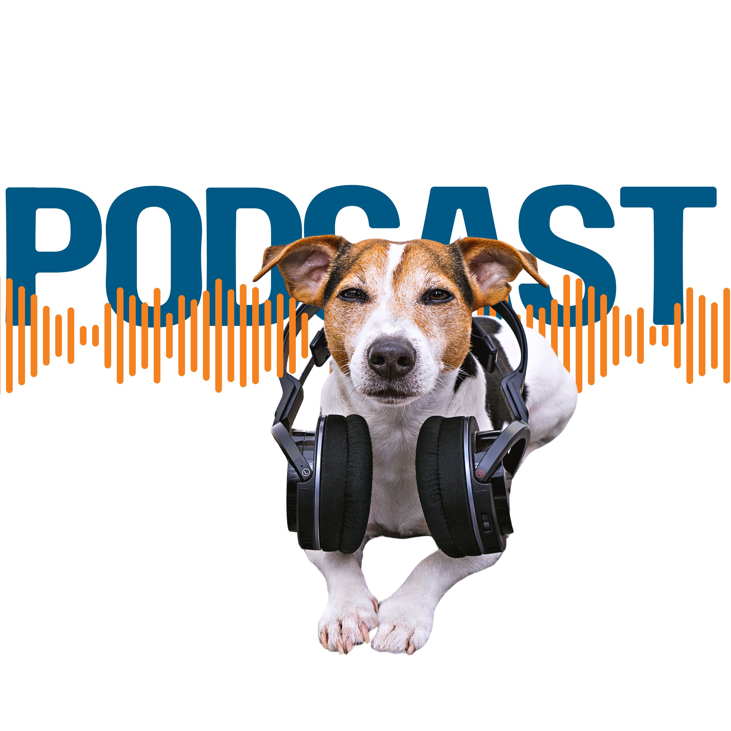 Der Natürlich-Hund Podcast