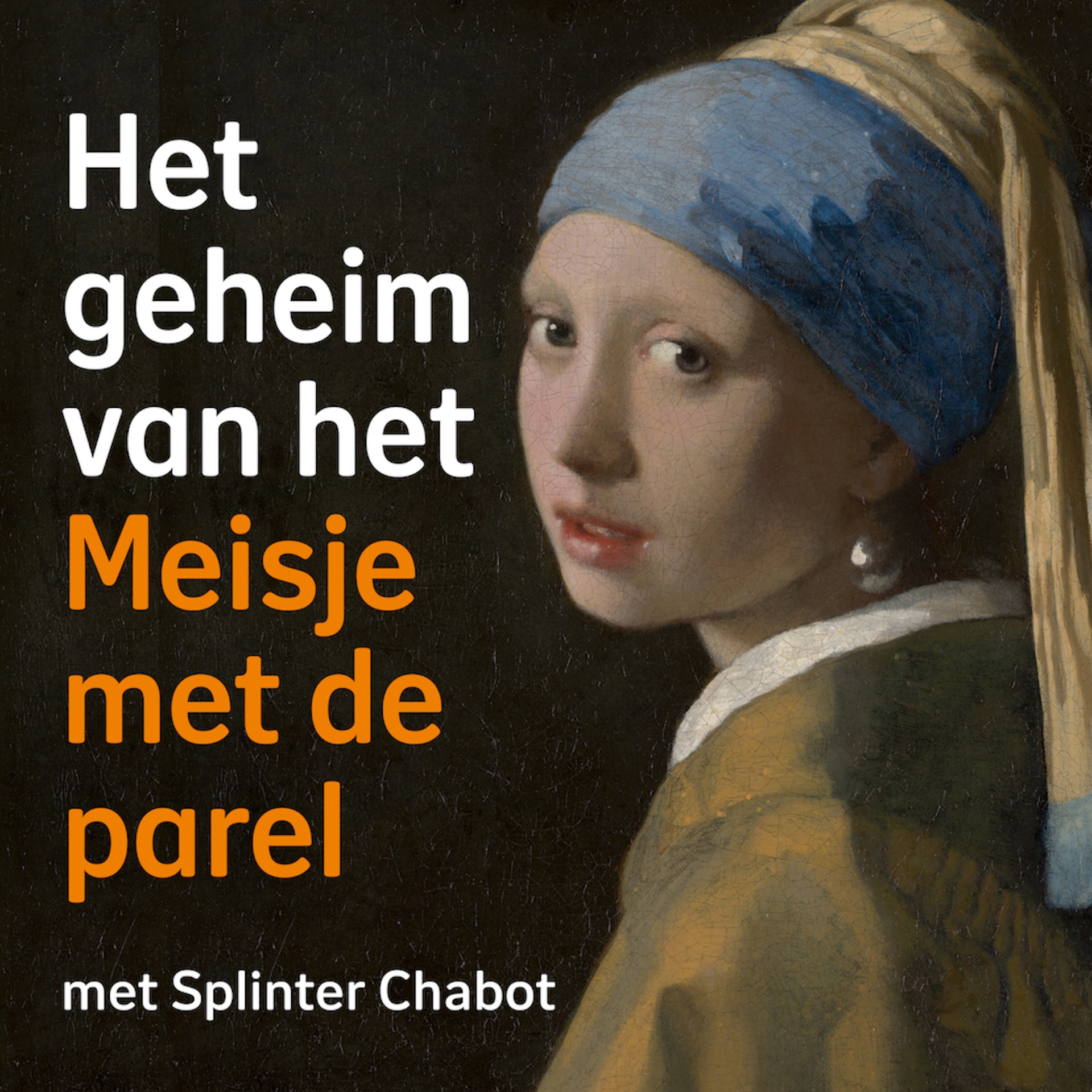 Het geheim van het Meisje met de parel