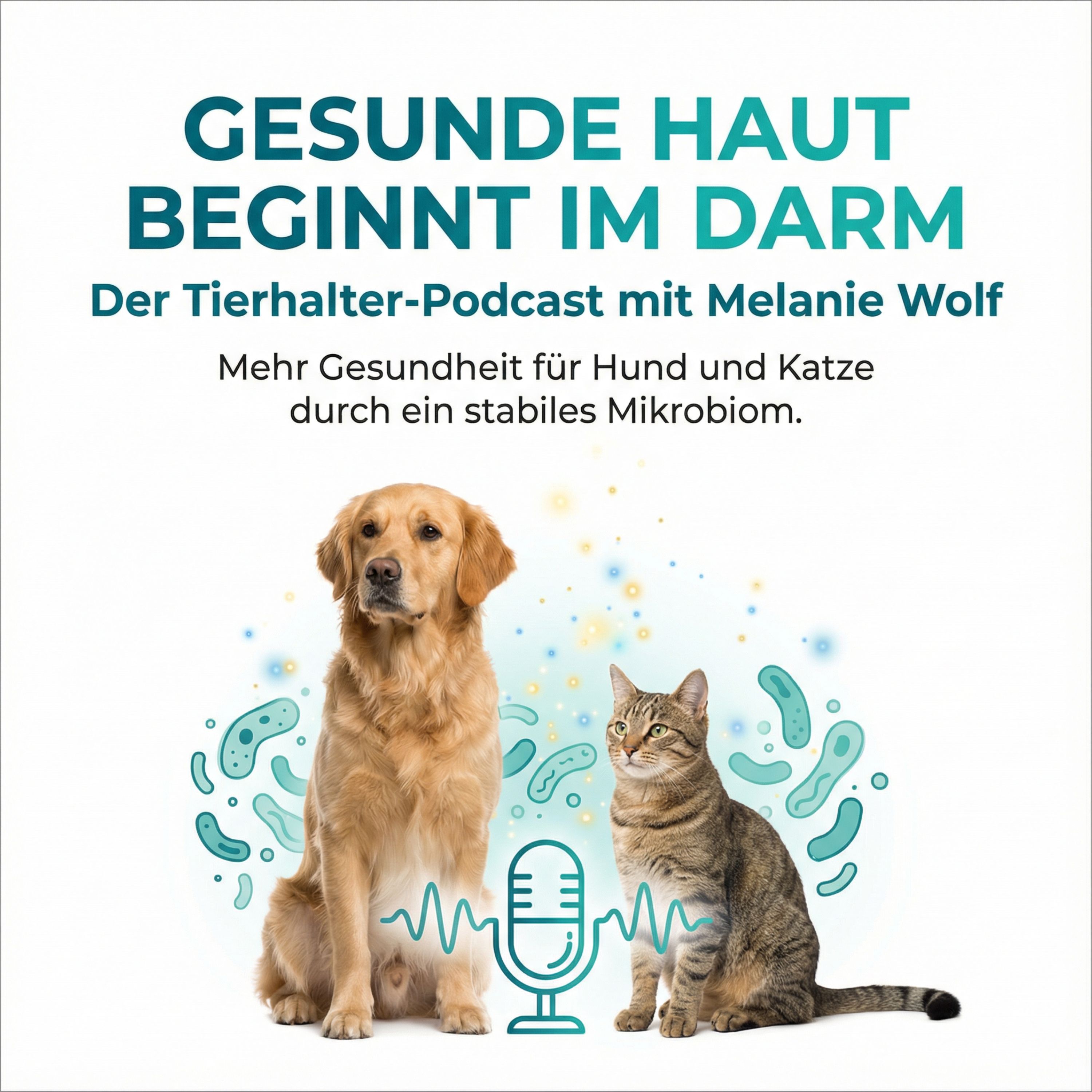 Das Ohr lügt nie: Warum die Ohrenentzündung immer wiederkommt episode artwork