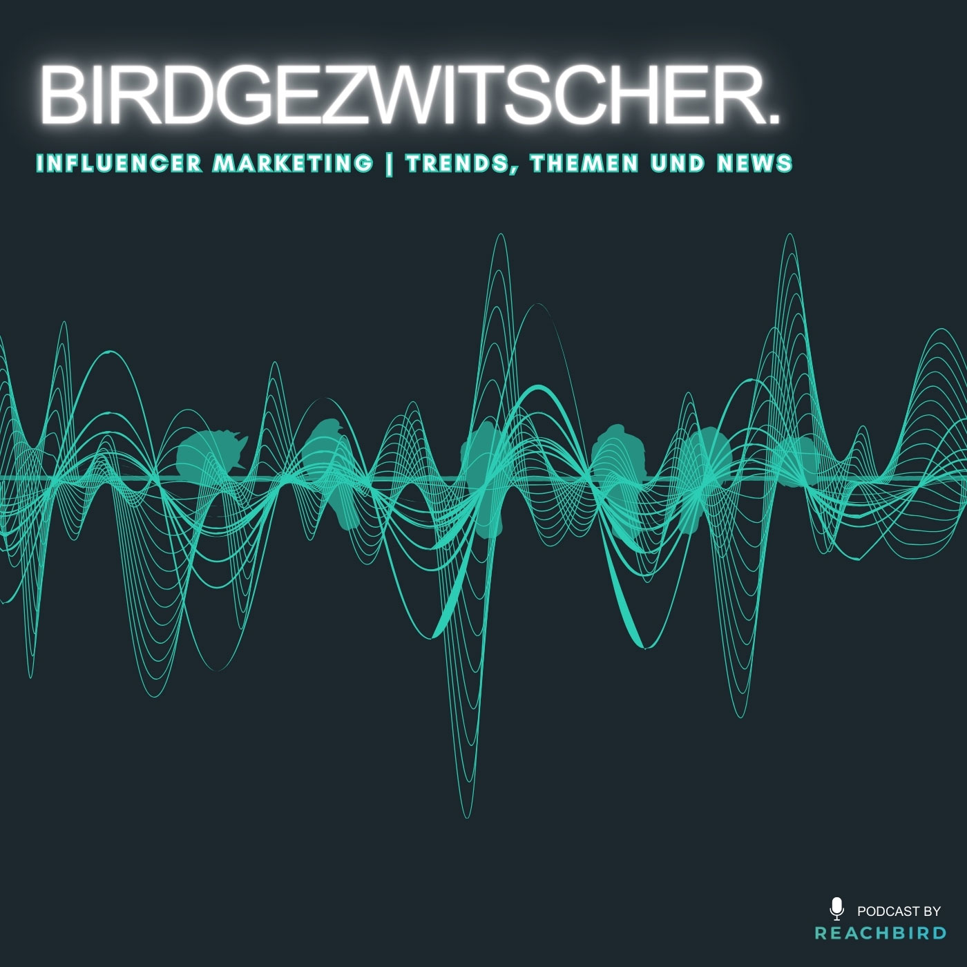 Birdgezwitscher - Influencer Marketing Trends und Insights von Reachbird podcast artwork