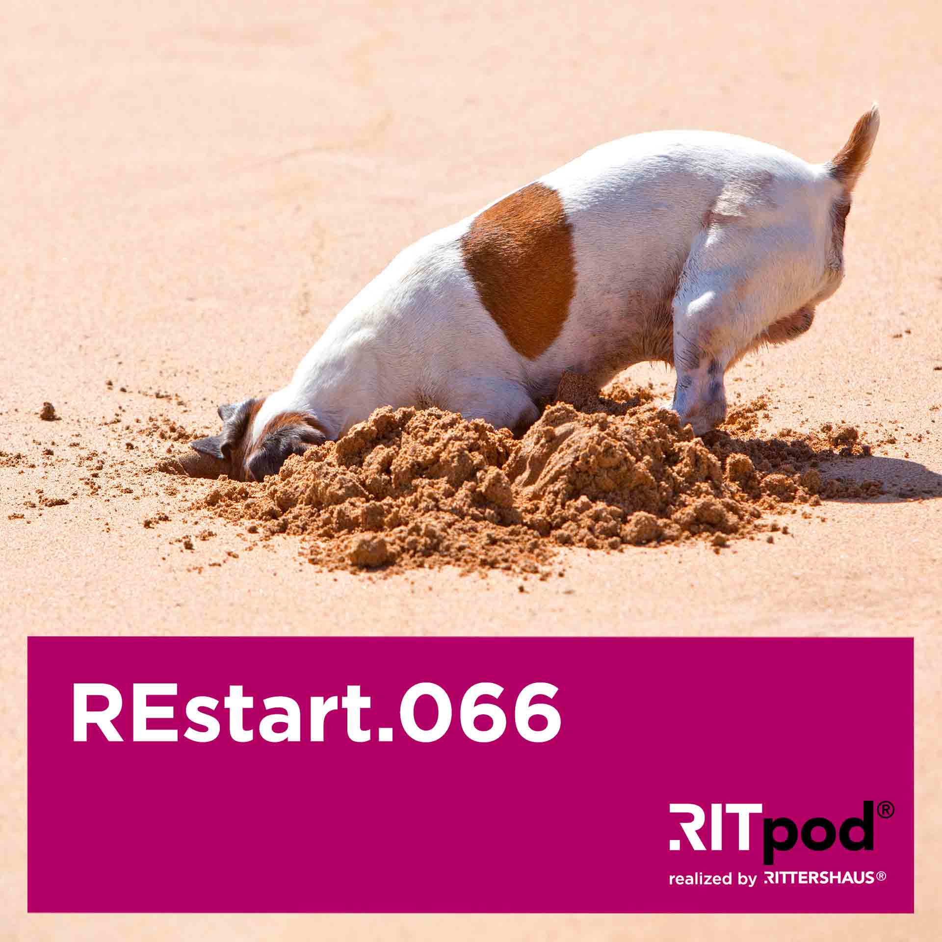 REstart - Legal Insights zur Sanierung von Unternehmen