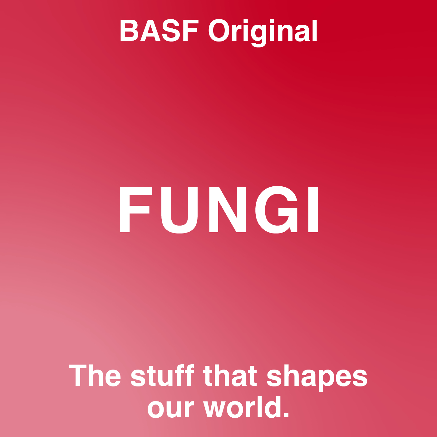 Fungi episode artwork