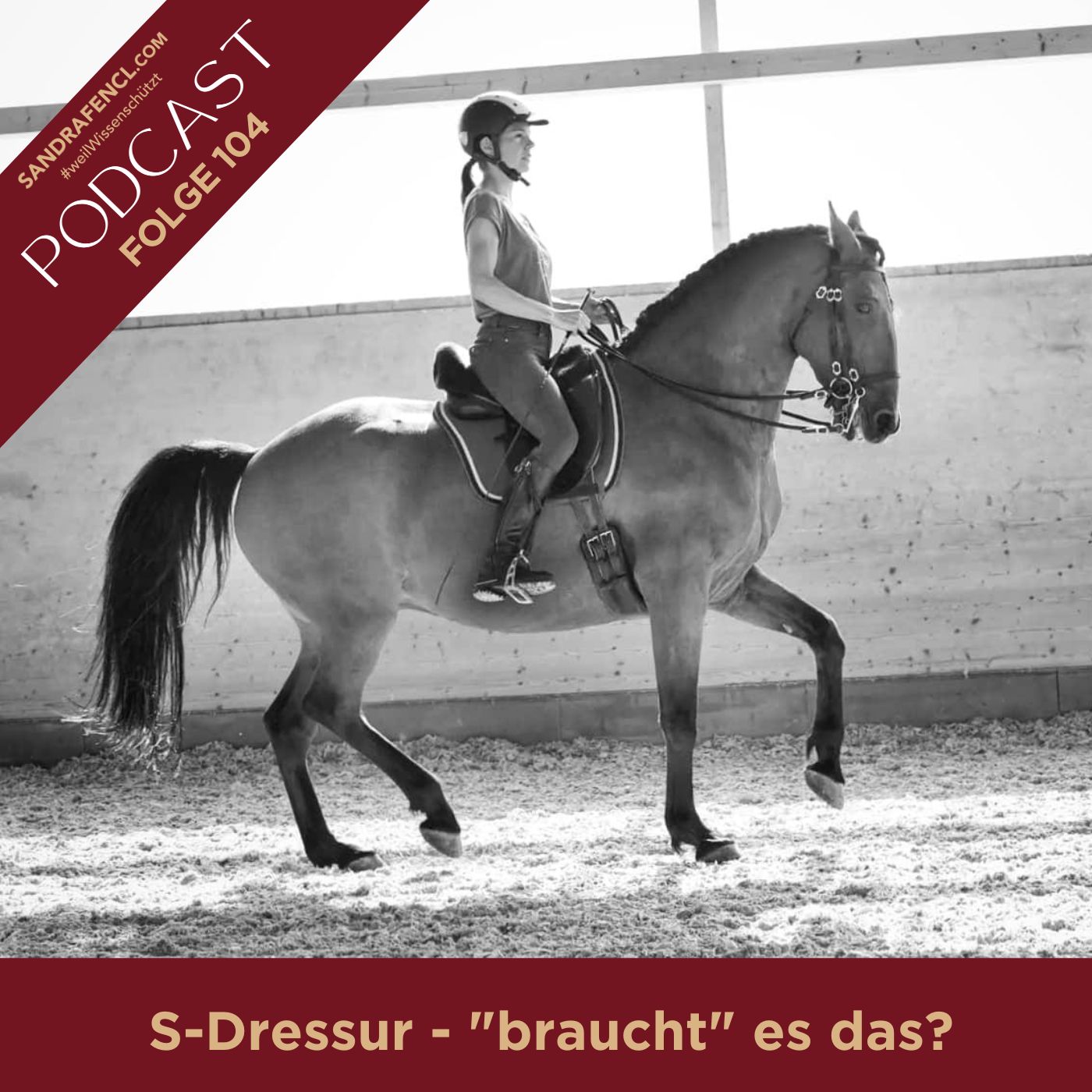 🐎 S-Dressur - braucht es das??? episode artwork