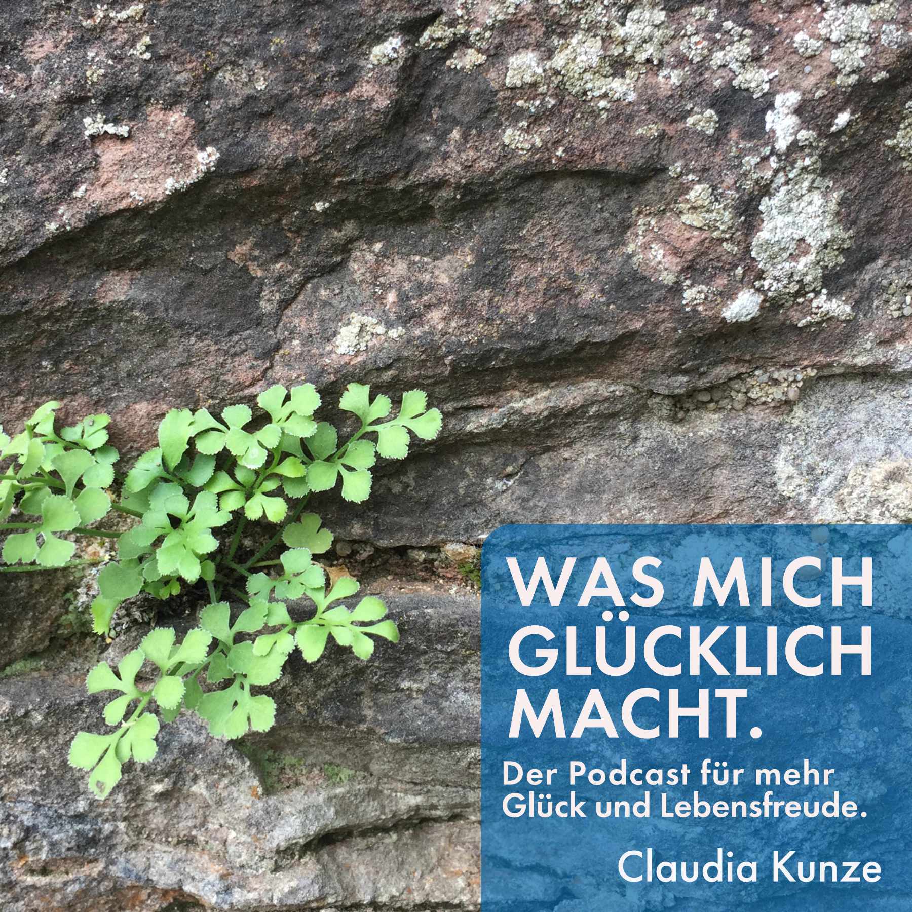 Was mich glücklich macht. Der Podcast für mehr Glück und Lebensfreude.
