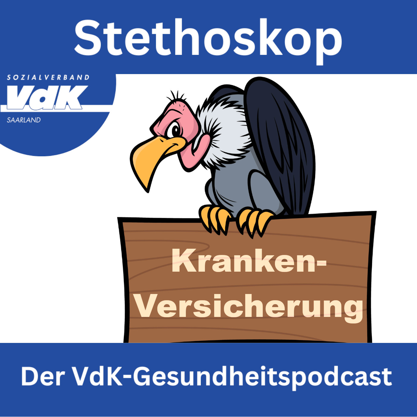 Stethoskop | Der VdK-Gesundheitspodcast