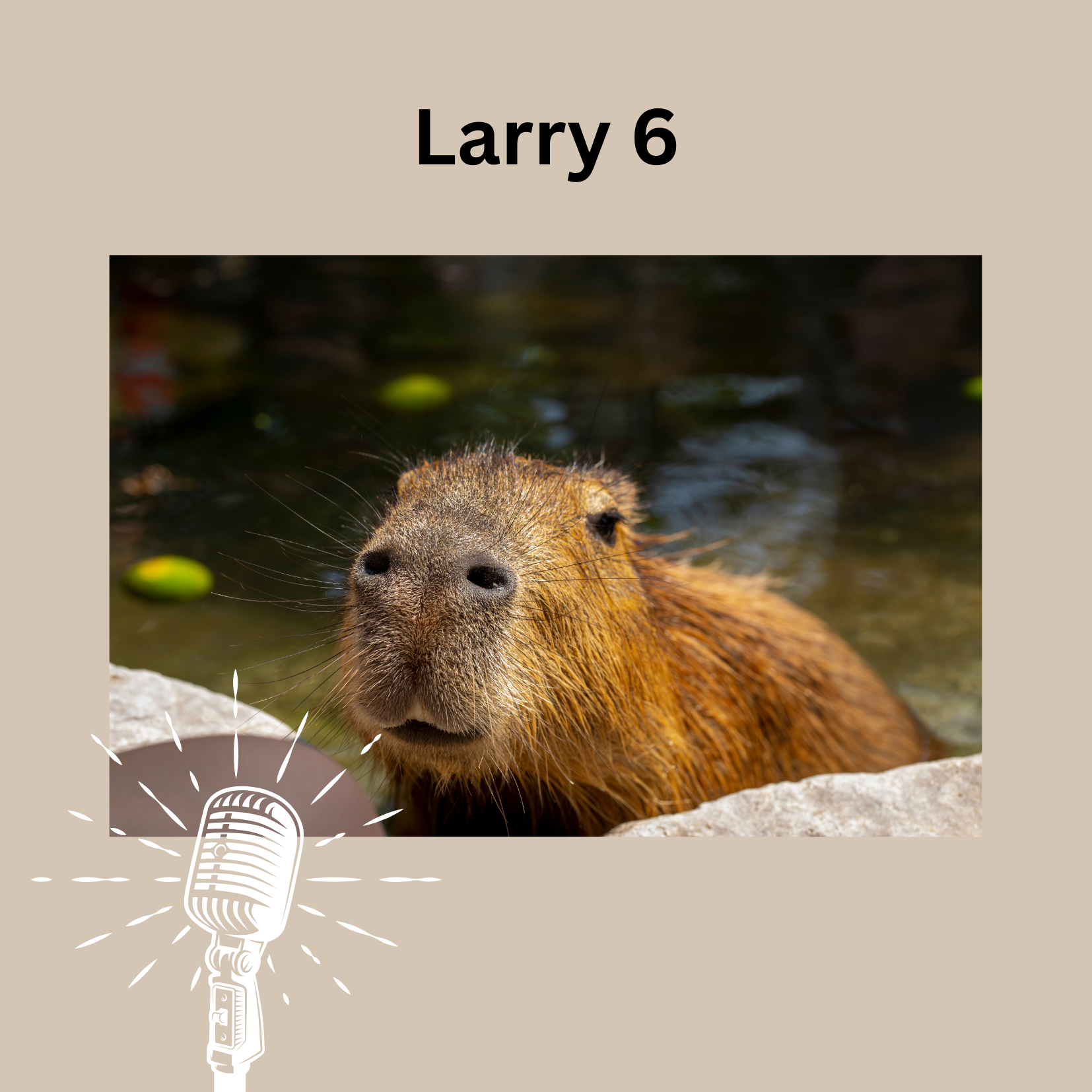 Friedenshamster Larry