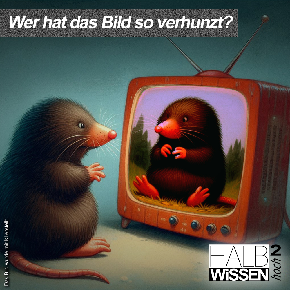 Halbwissen hoch 2