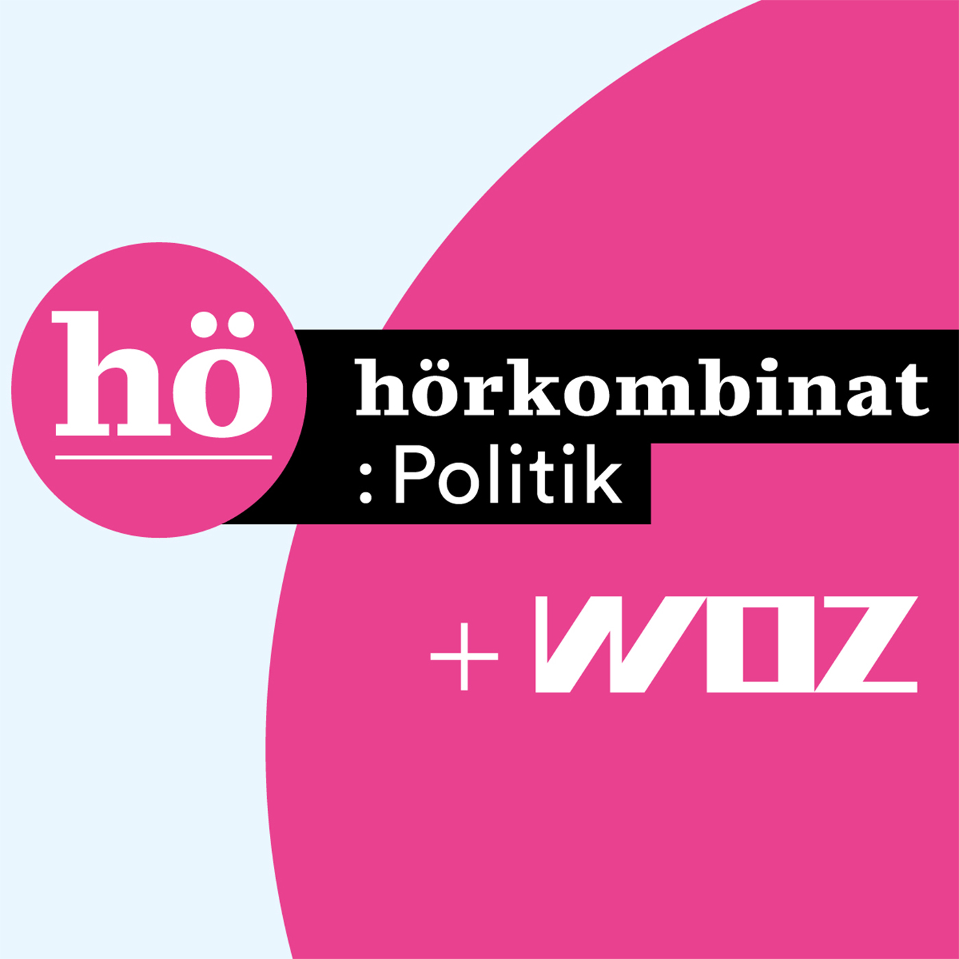 Hörkombinat :Politik