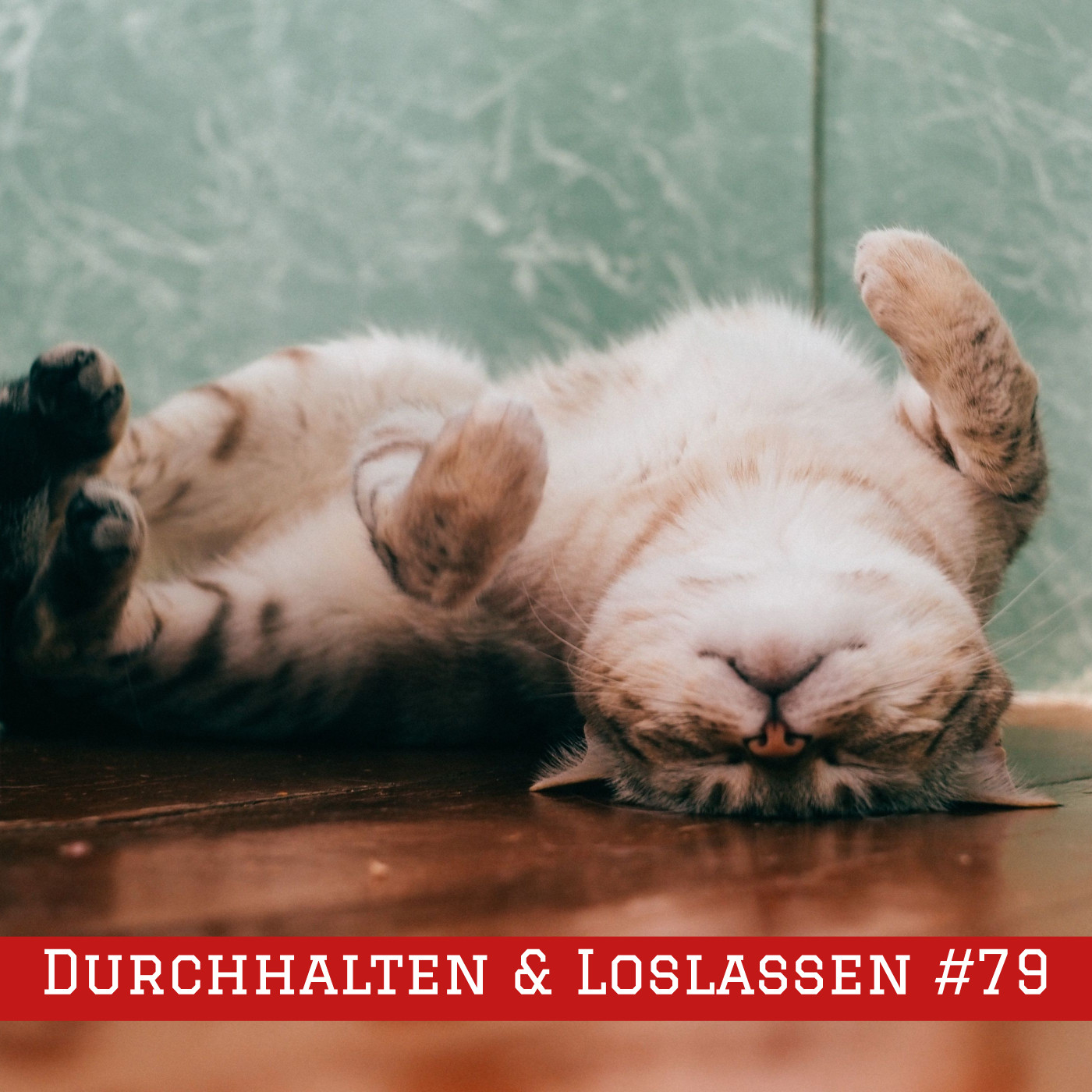Der literarische Saloon