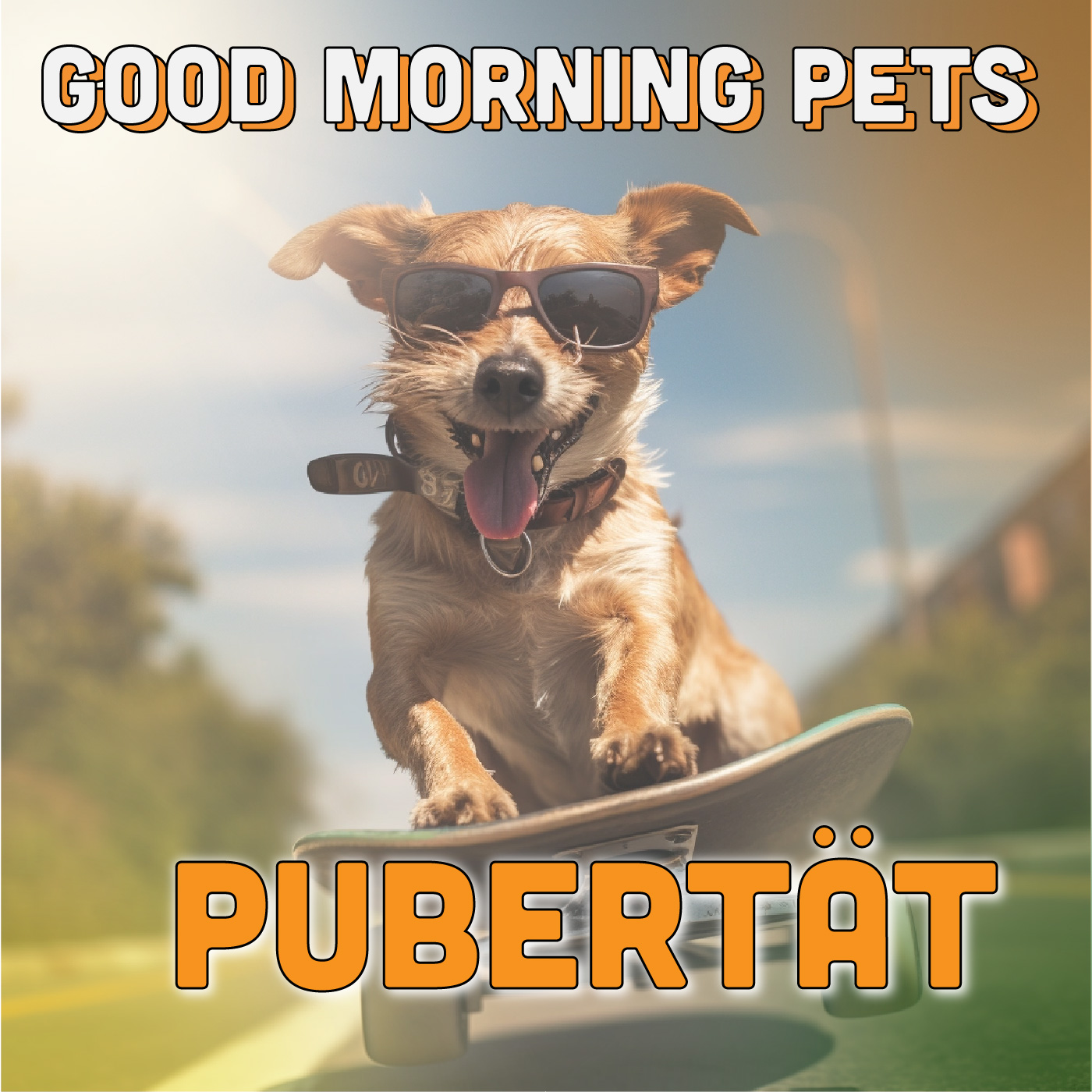 Good Morning Pets