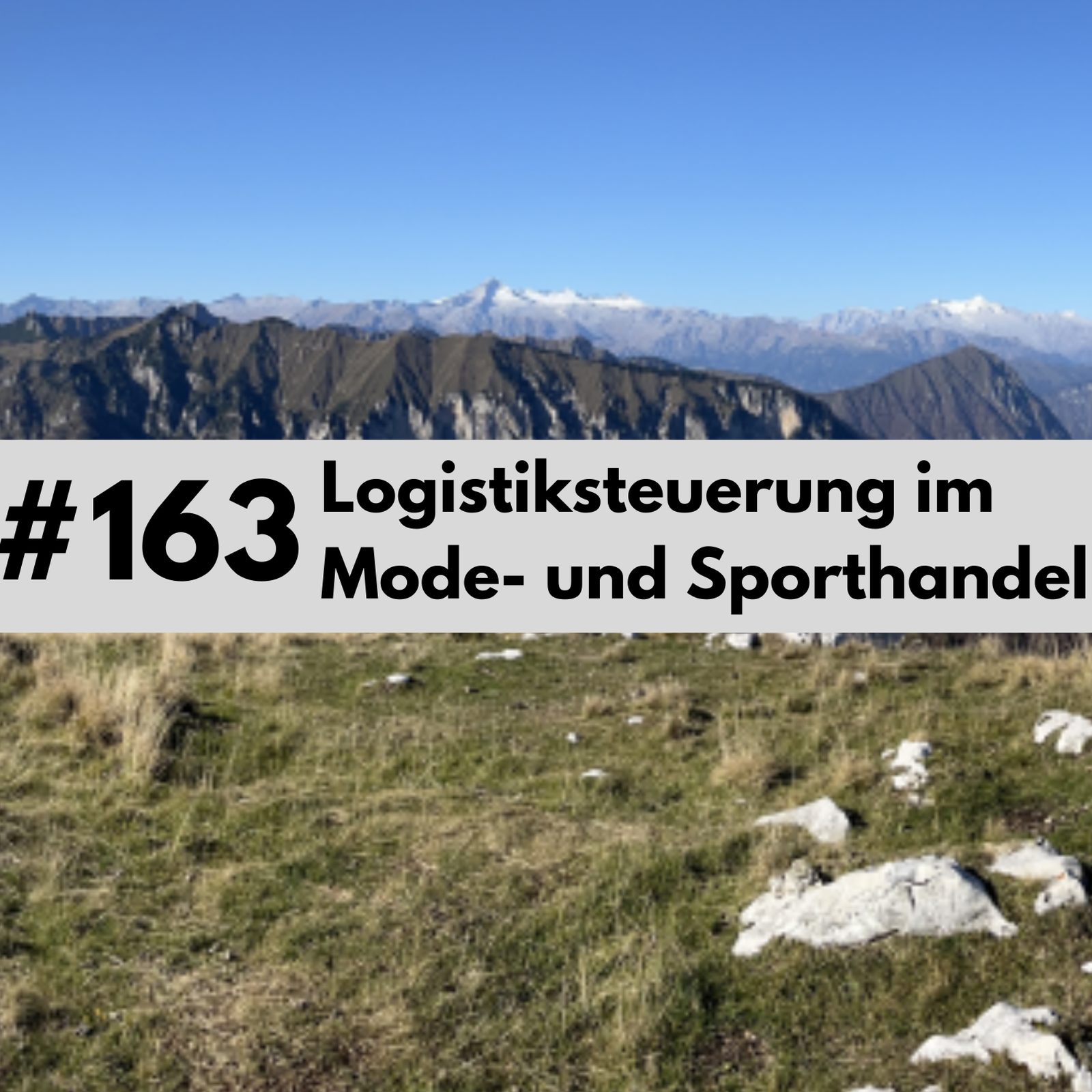 Logistikpodcast- Der Podcast für Logistik