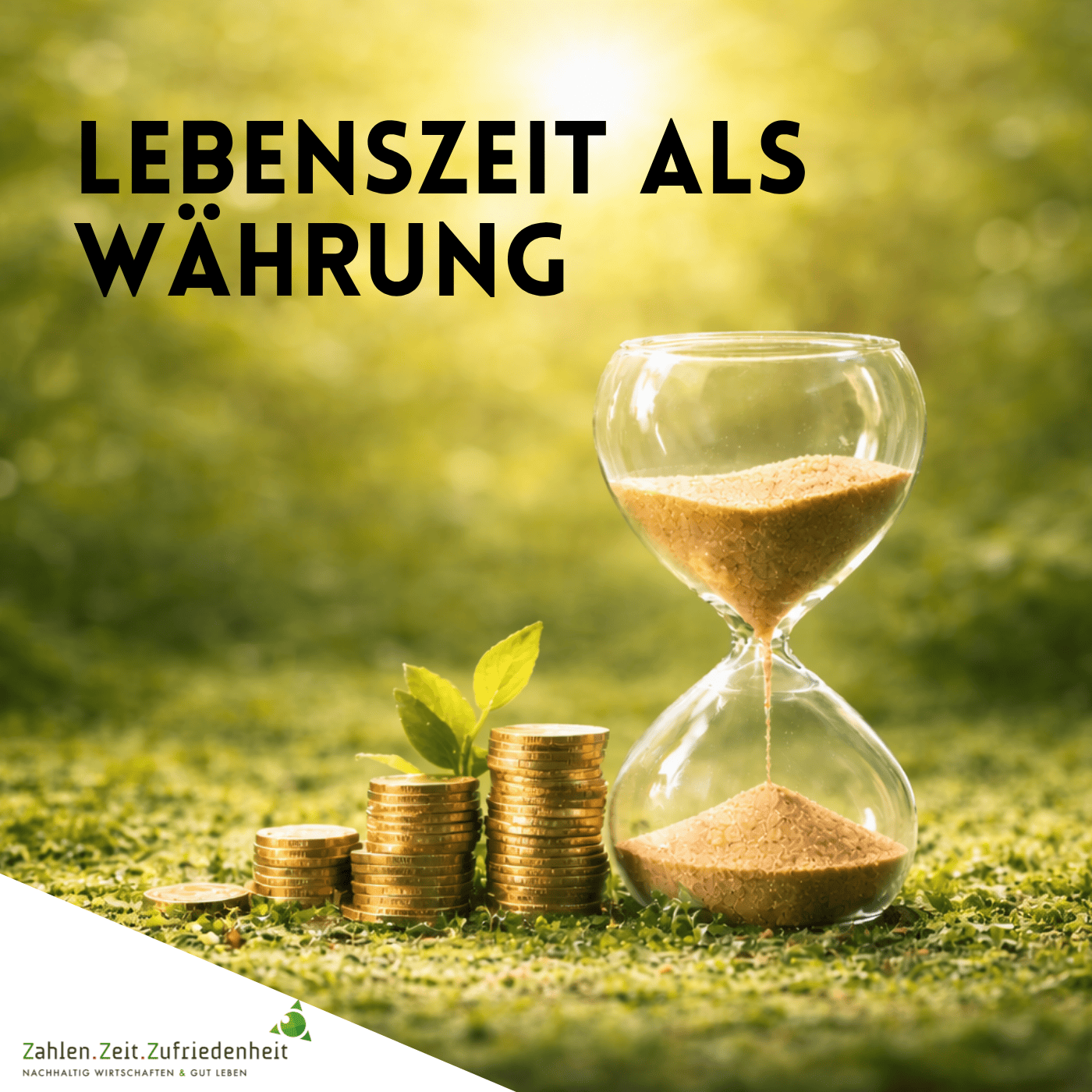 Lebenszeit als Währung episode artwork