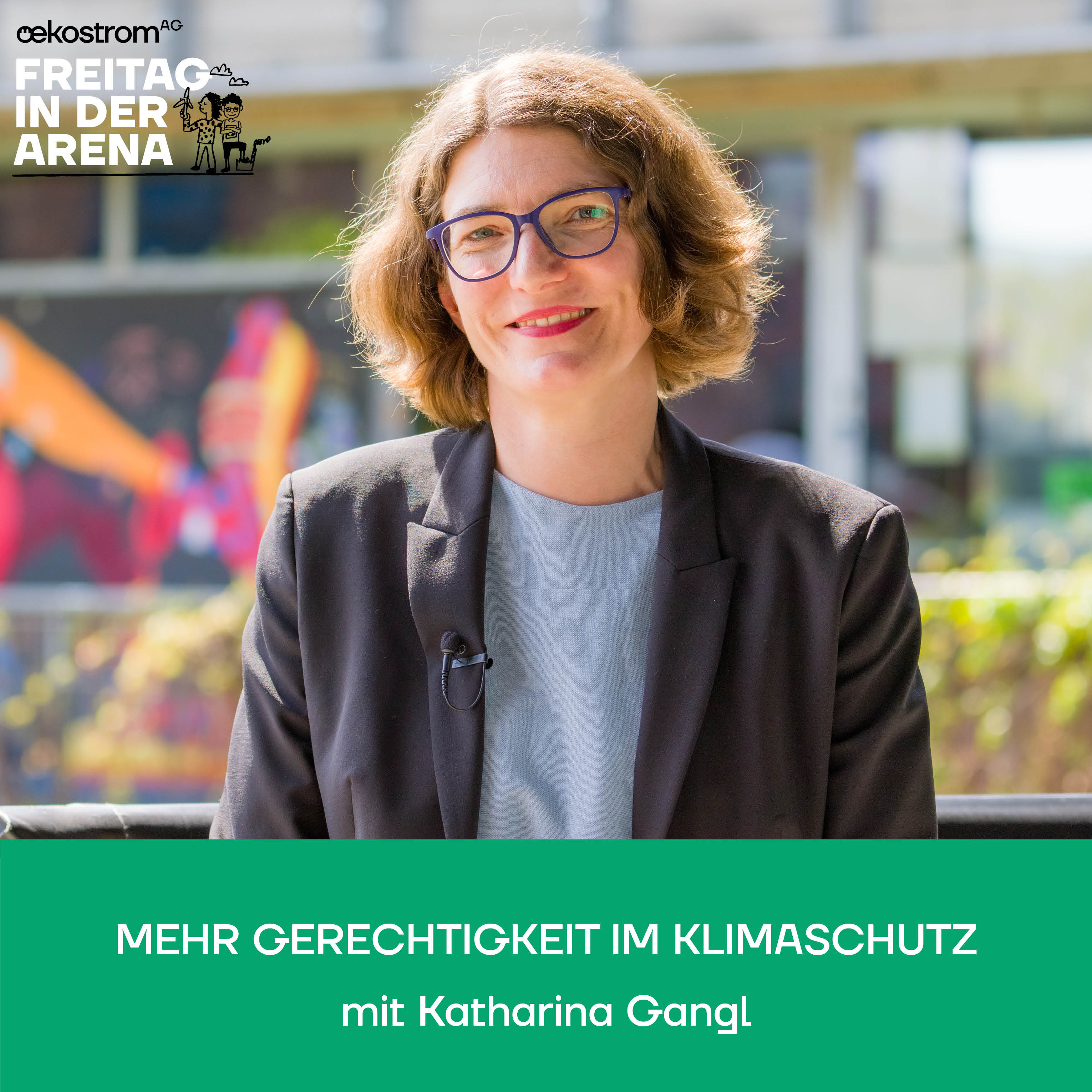 Freitag in der Arena - der oekostrom AG-Talk