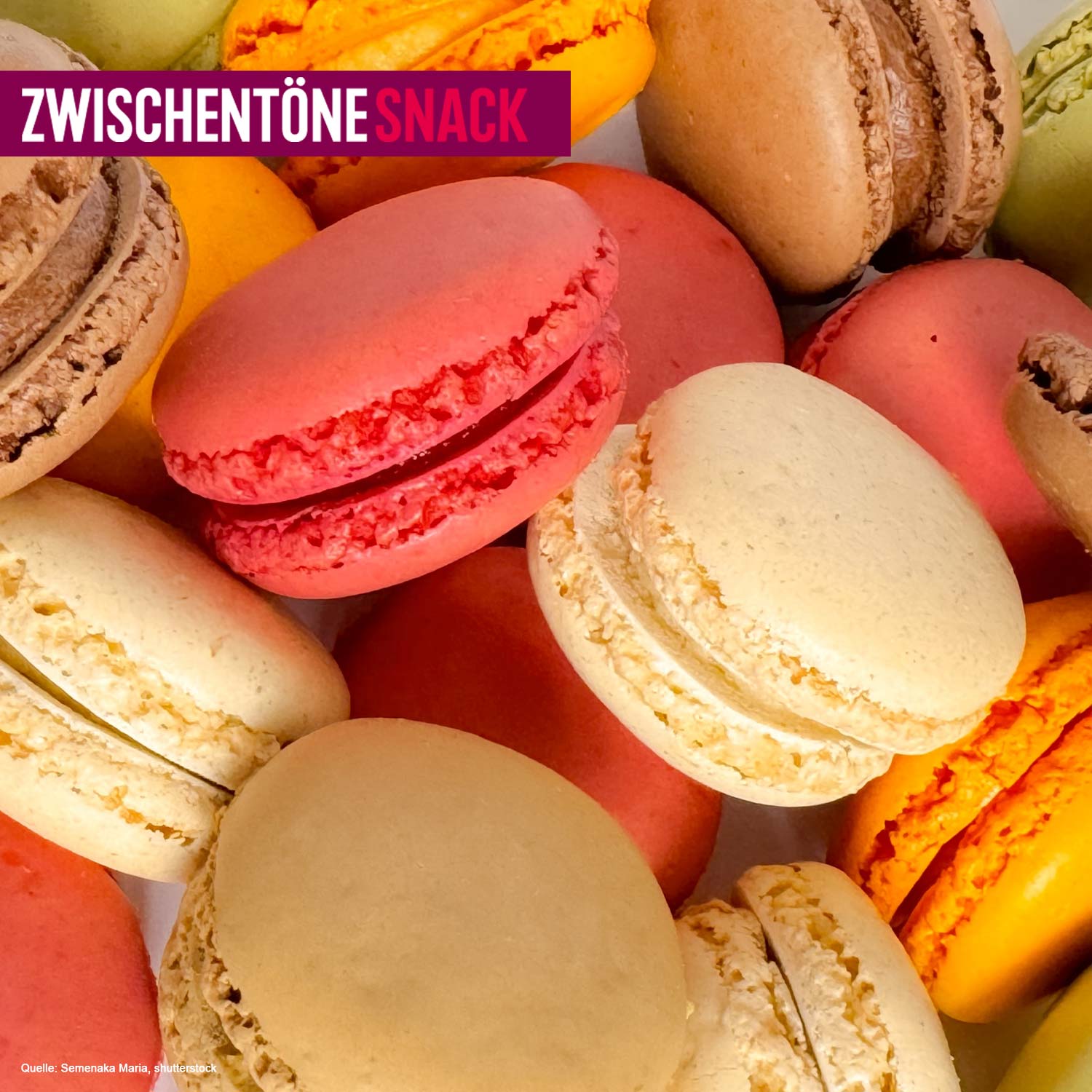 Frankreich zum Essen auf der Alstadtinsel episode artwork