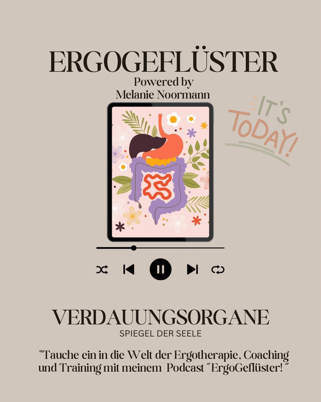 Verdauungsorgane aus ganzheitlicher Sicht episode artwork