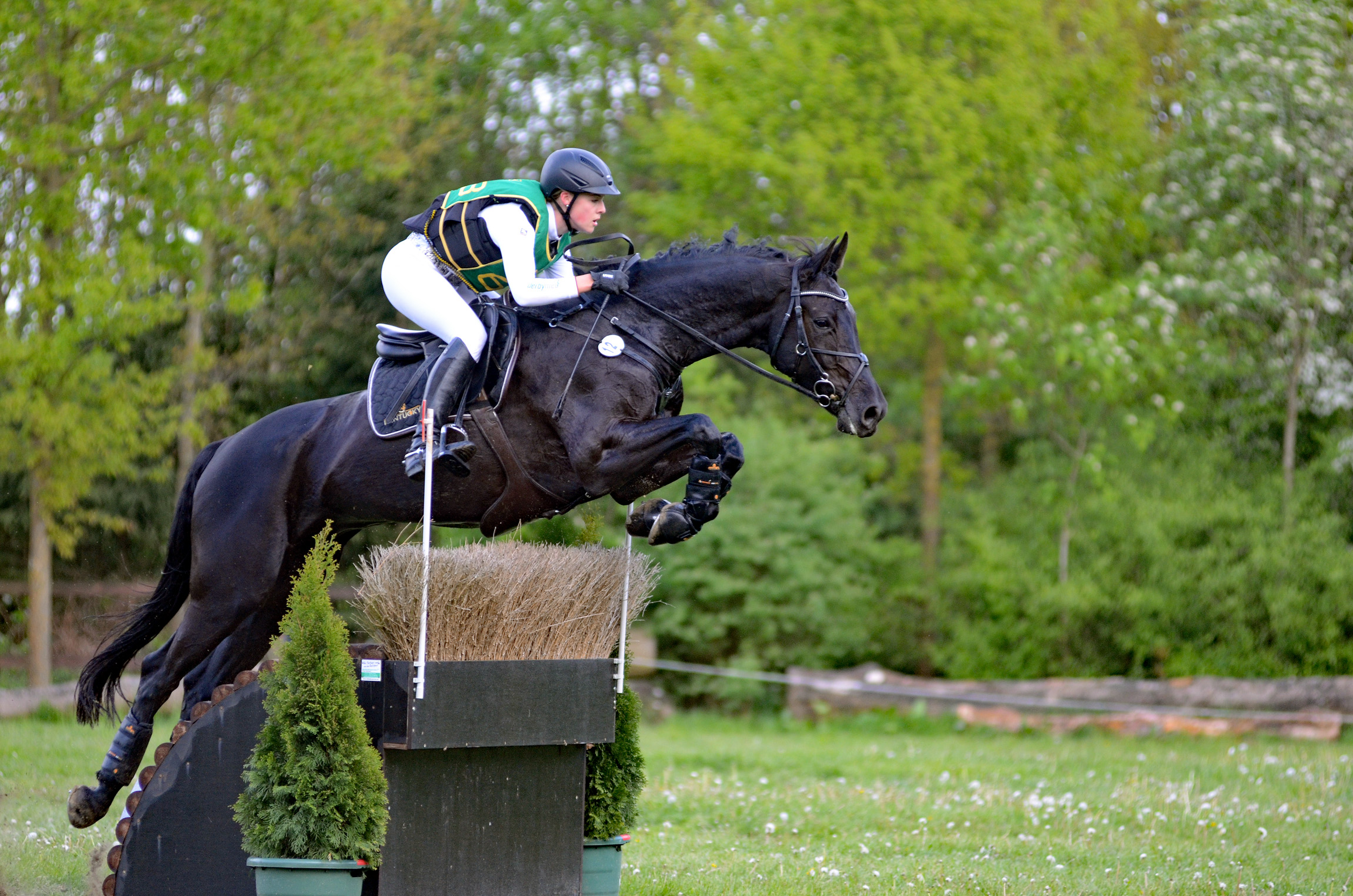 Julis Eventer Podcast