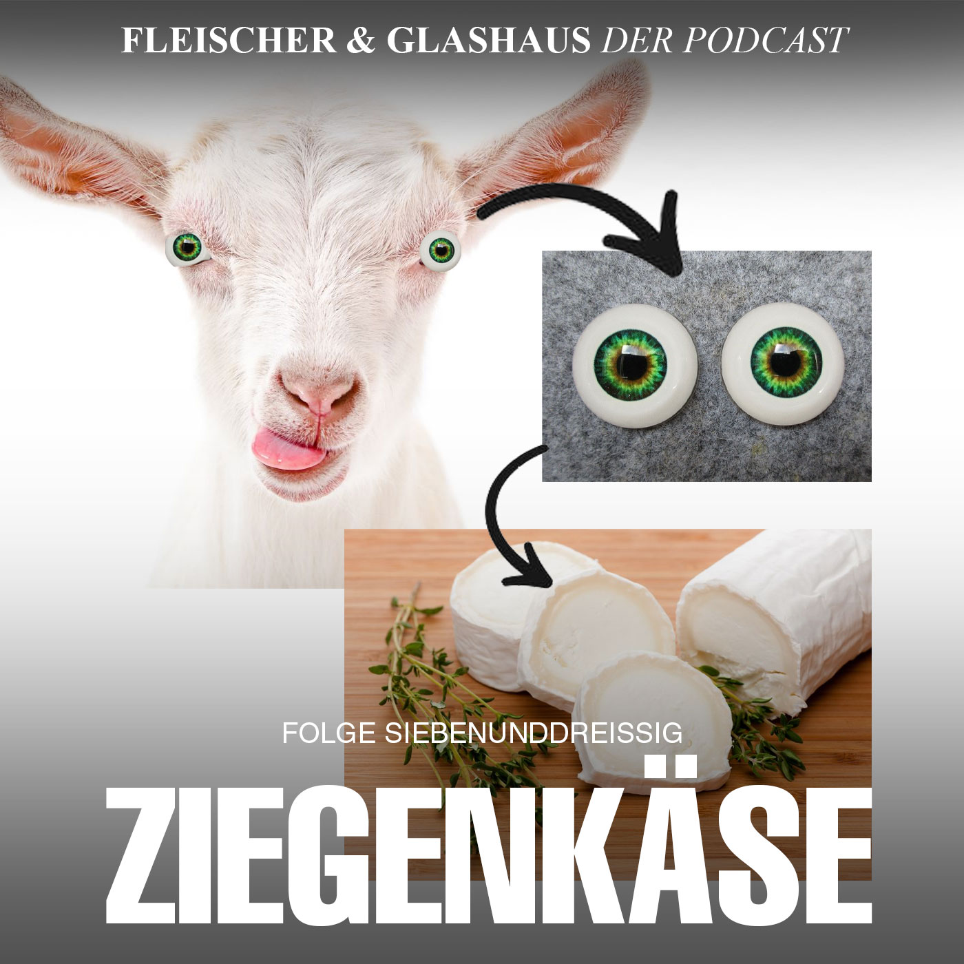 Fleischer & Glashaus