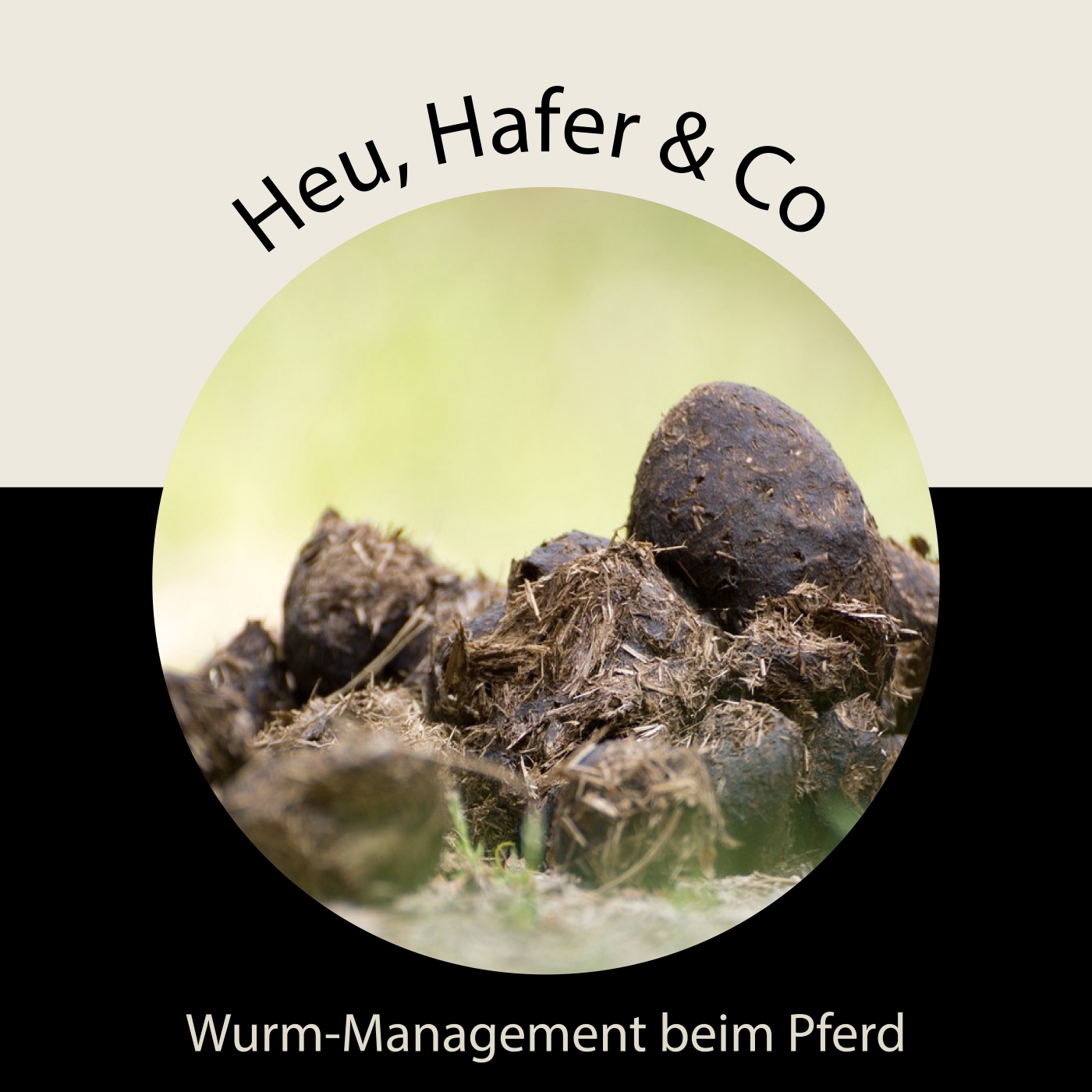 Heu, Hafer & Co: Der Pferdefutter-Podcast