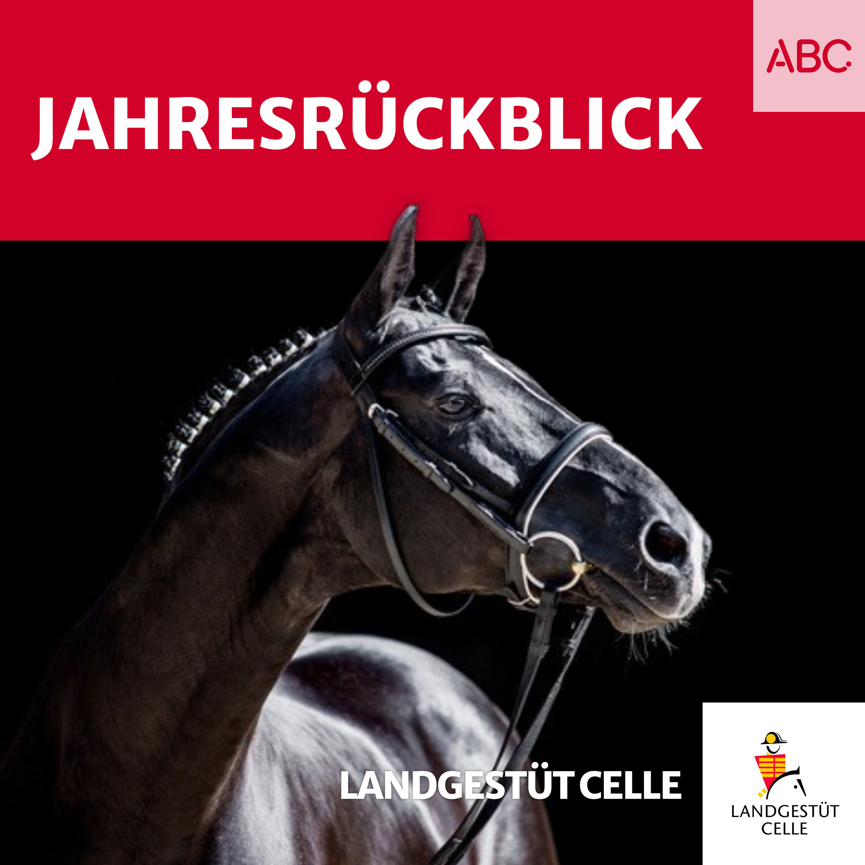 Landgestüt Celle - Der Podcast