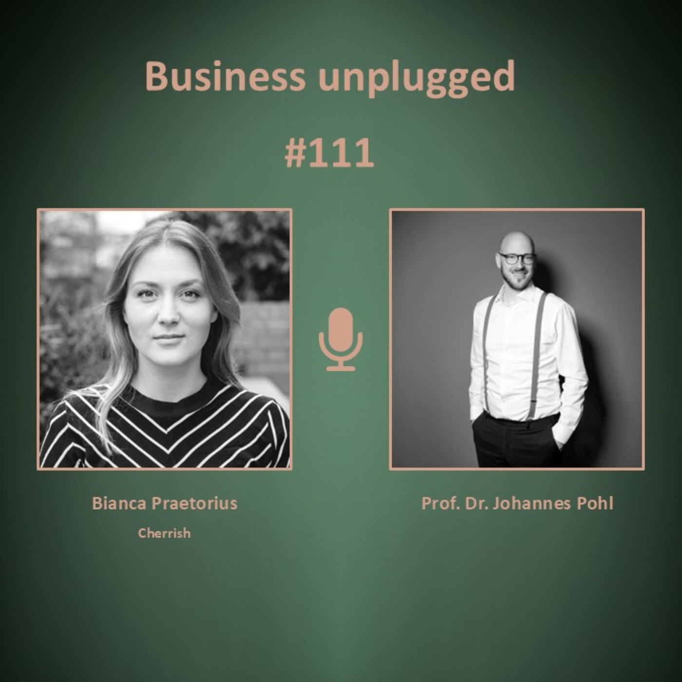 Business unplugged - Menschen, Unternehmen und Aspekte der Digitalisierung