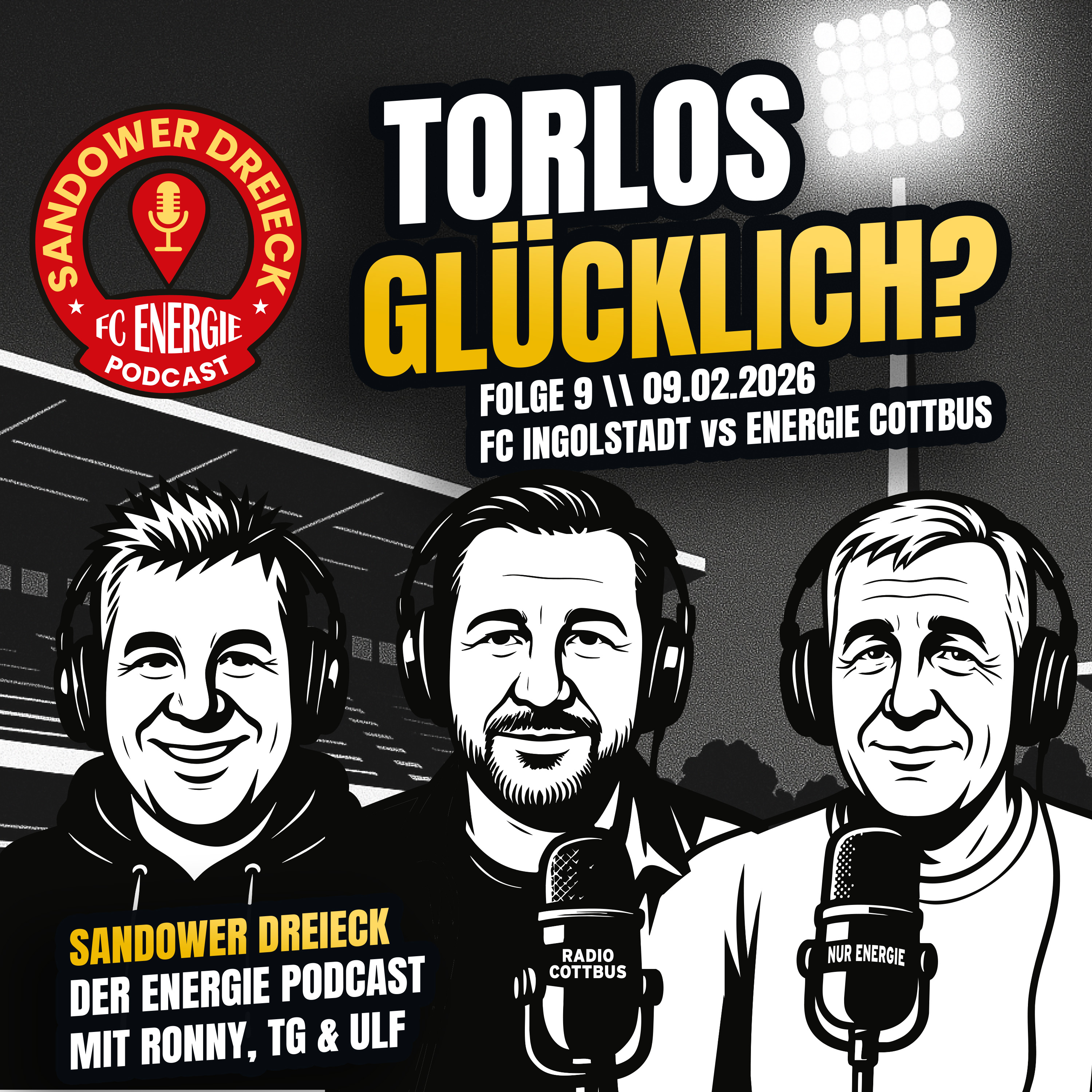 Sandower Dreieck - Der Energie Cottbus-Podcast