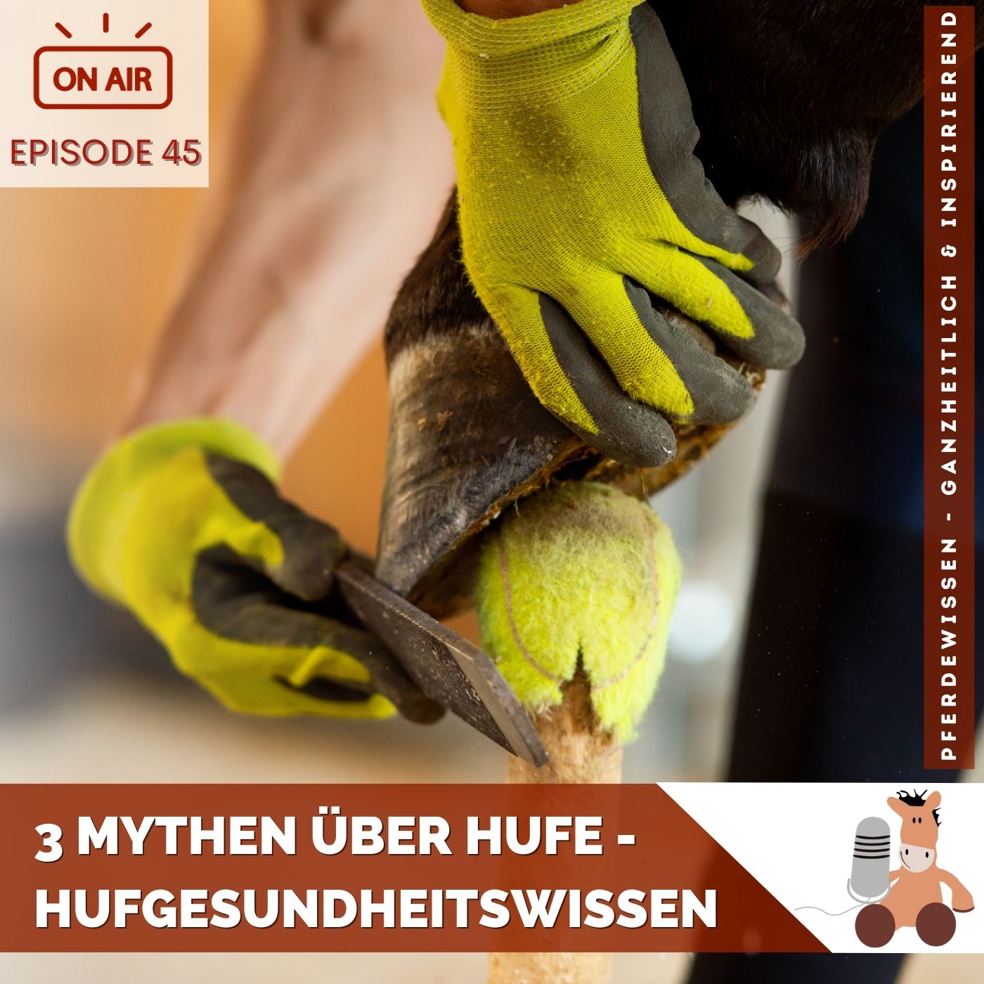 Pferdewissen - ganzheitlich & inspirierend mit Sandra Fencl
