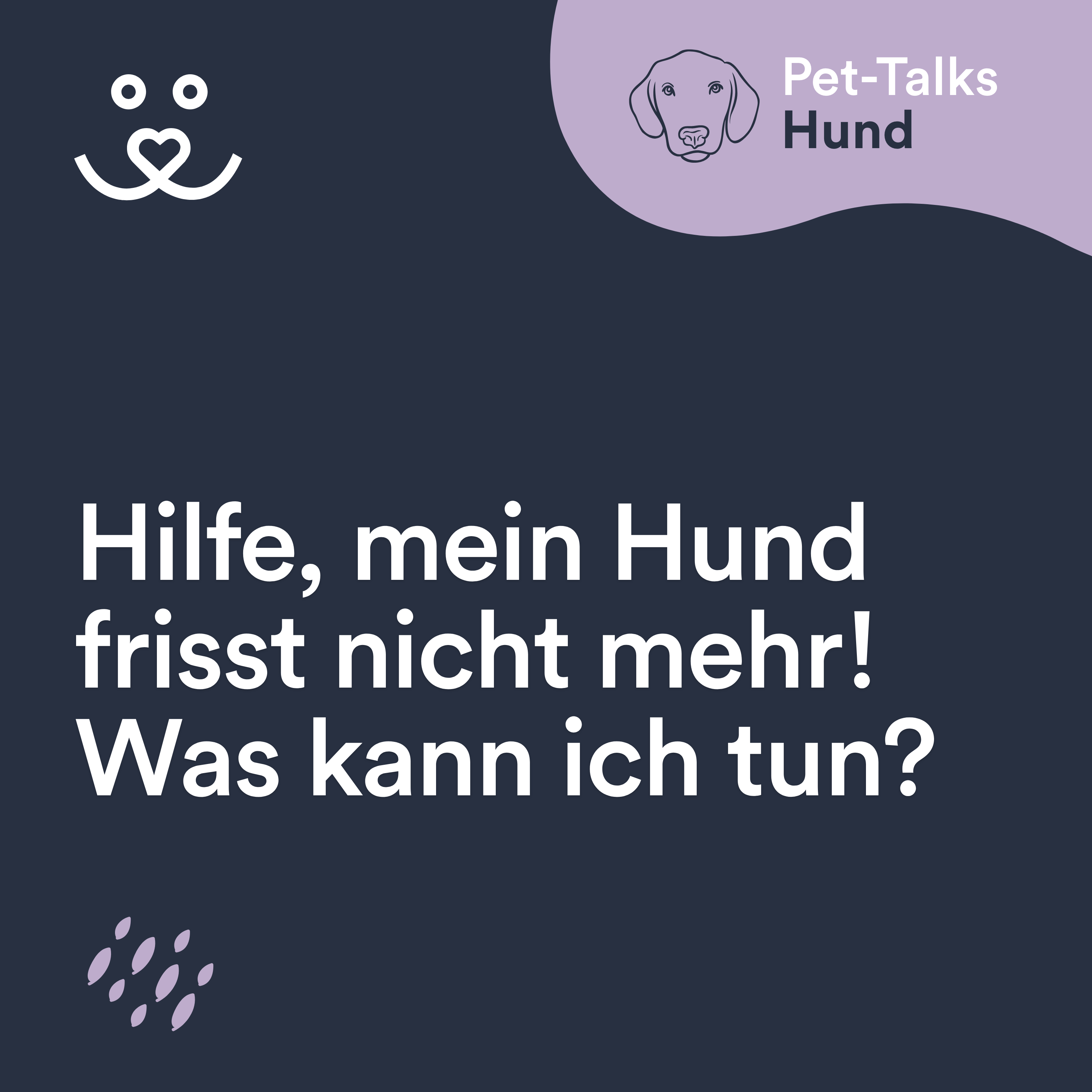Pet-Talks: Hund – der Ratgeber-Podcast von DeineTierwelt