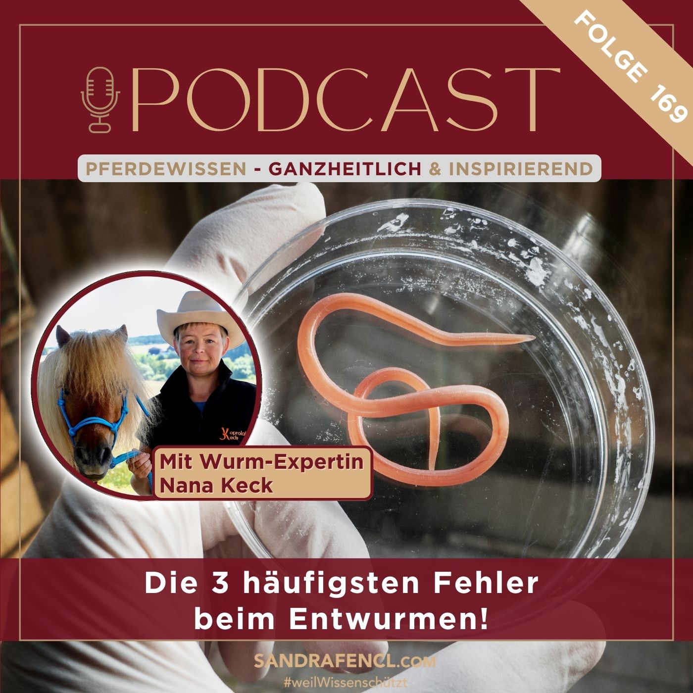 Pferdewissen - ganzheitlich & inspirierend mit Sandra Fencl