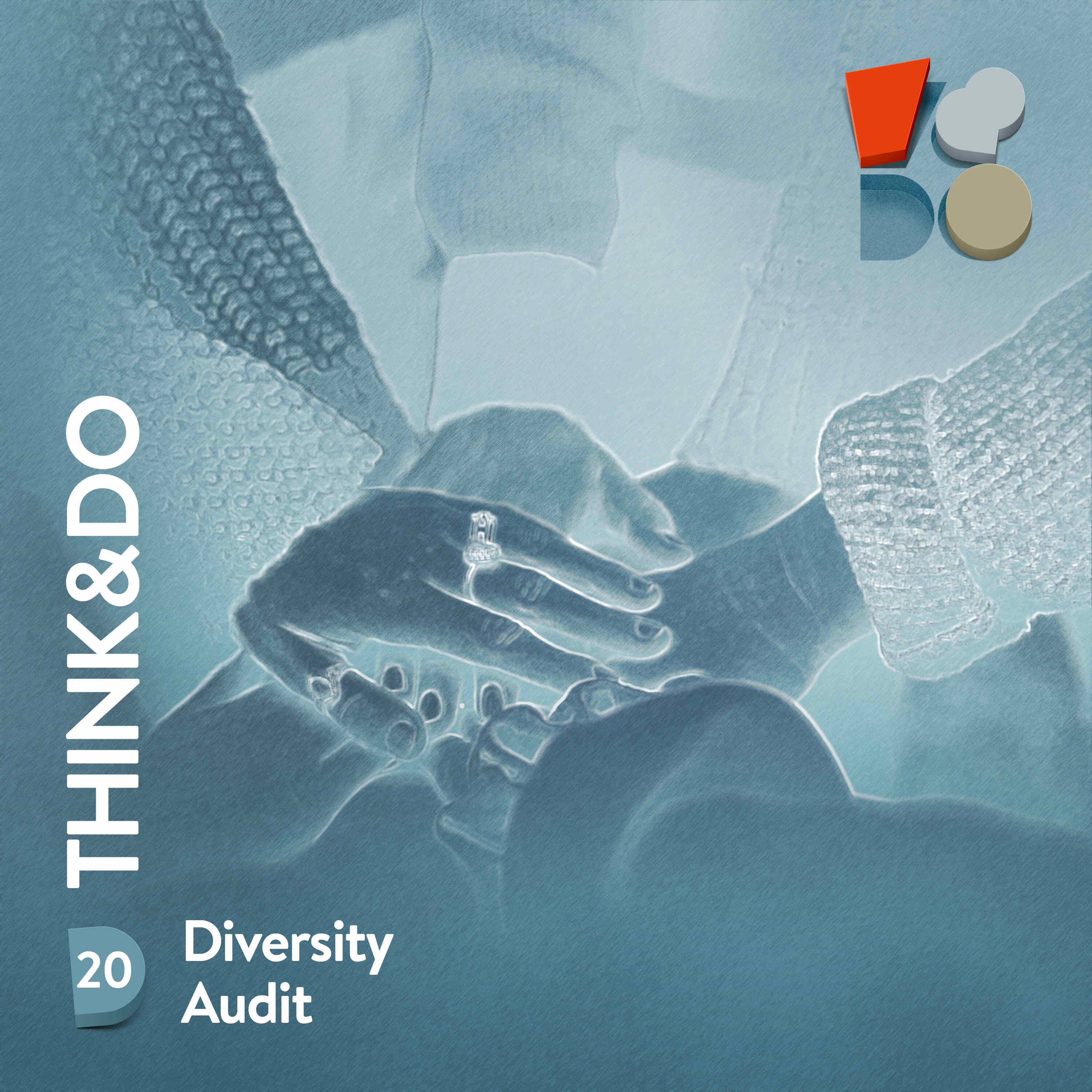 T&D20: Diversity Audit