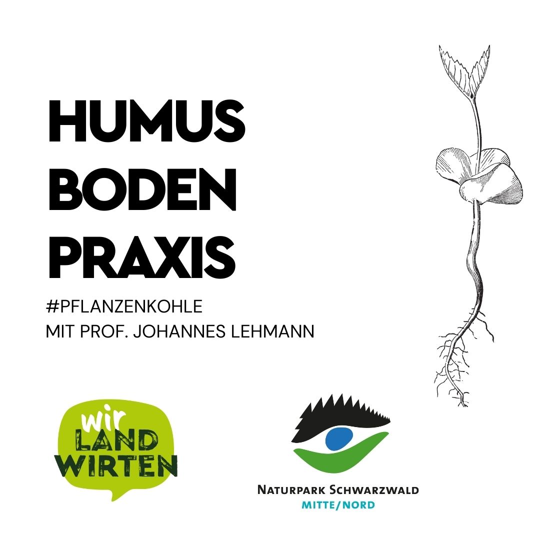 wirlandwirten Podcast