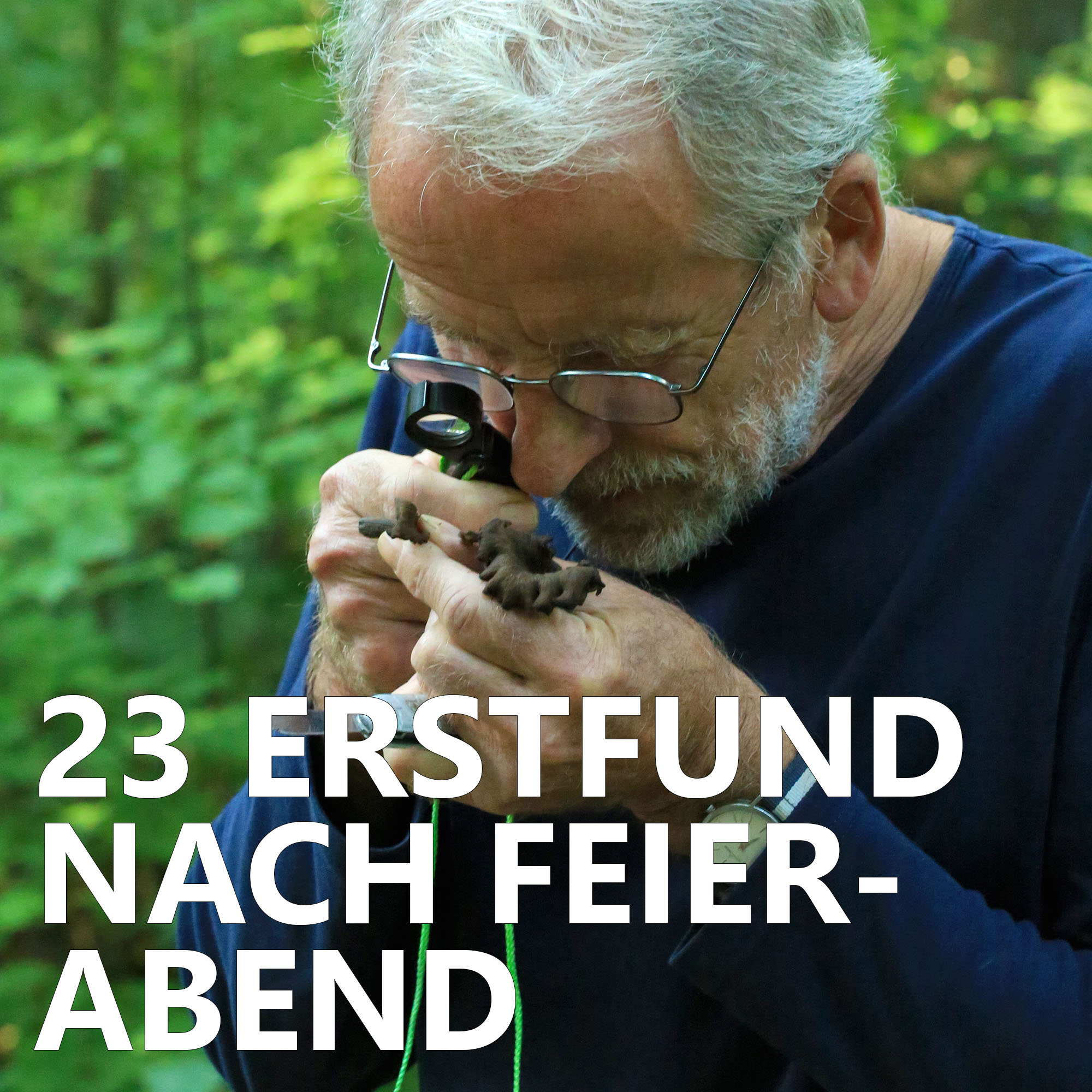 Der Pilzpodcast