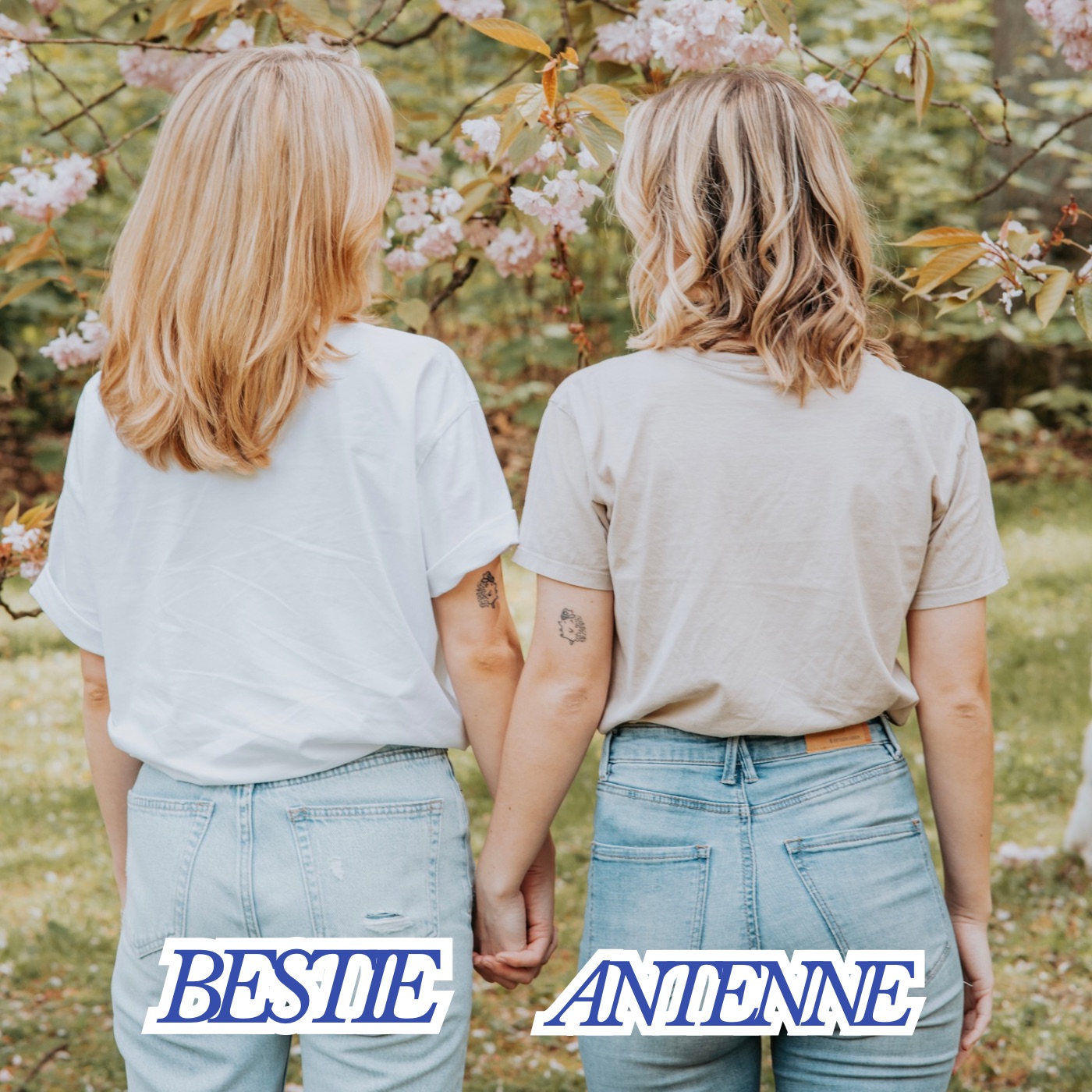 Bestie Antenne