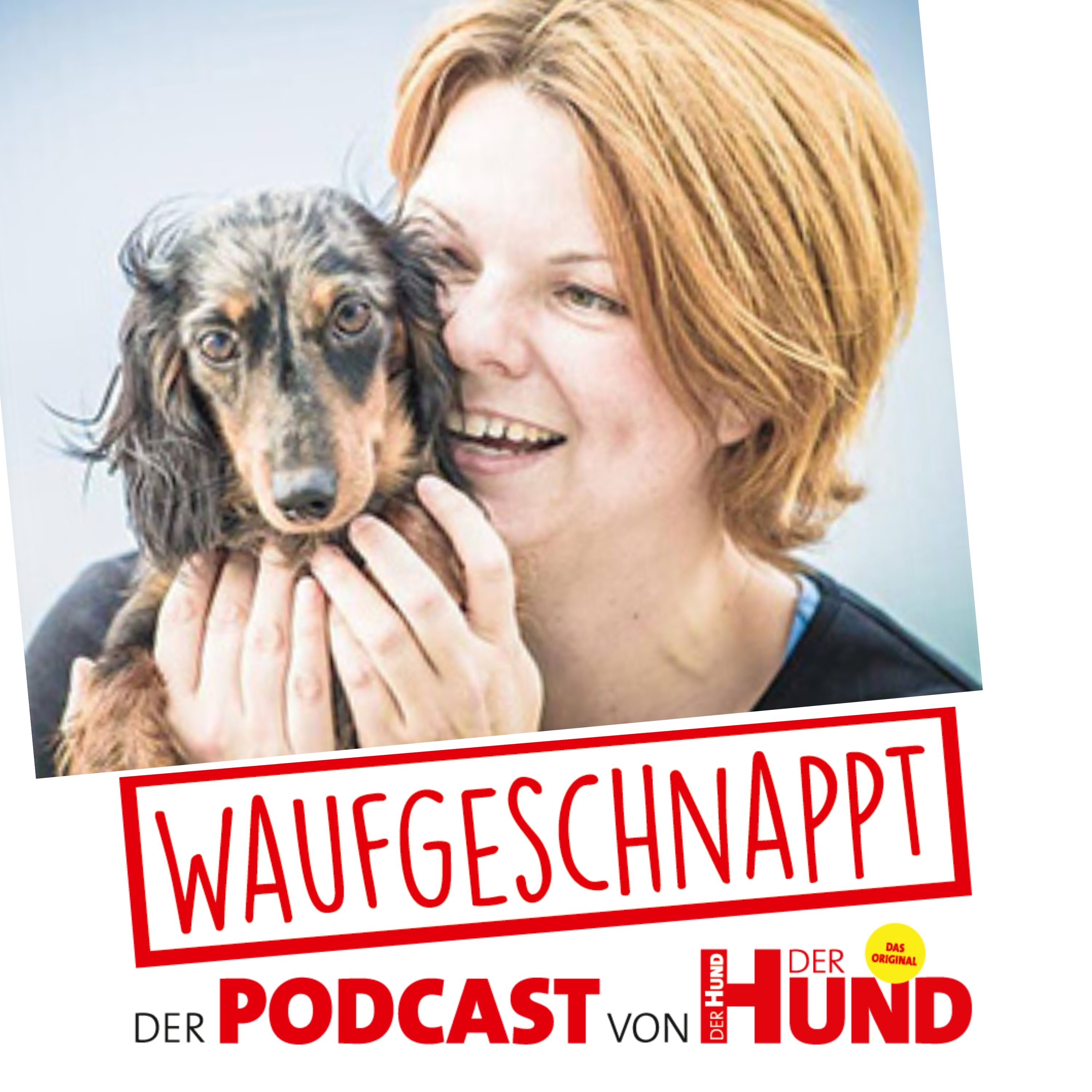 Waufgeschnappt - der Podcast von DER HUND