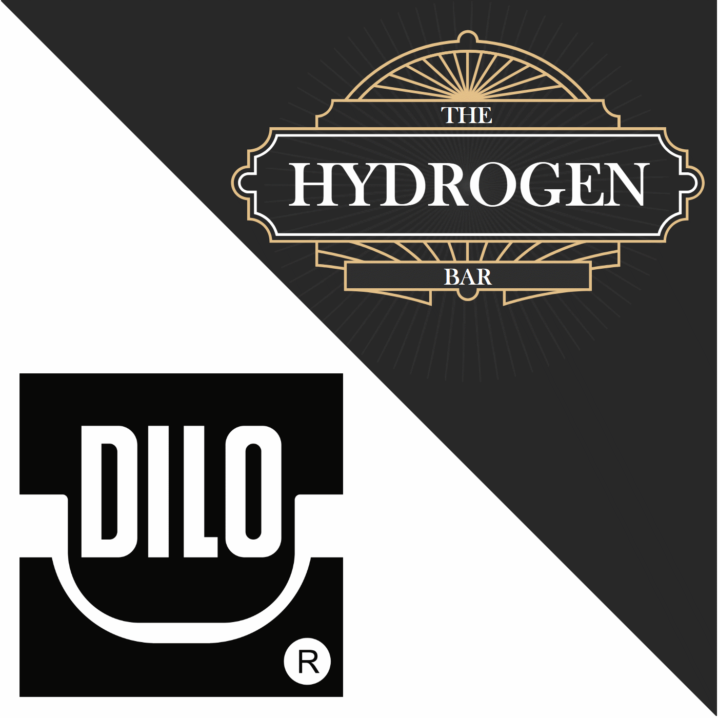 #256: Wasserstoff ohne Kompromisse: Einfach machen! - mit DILO Armaturen & Anlagen GmbH #256: Wasserstoff ohne Kompromisse: Einfach machen! - mit DILO Armaturen & Anlagen GmbH