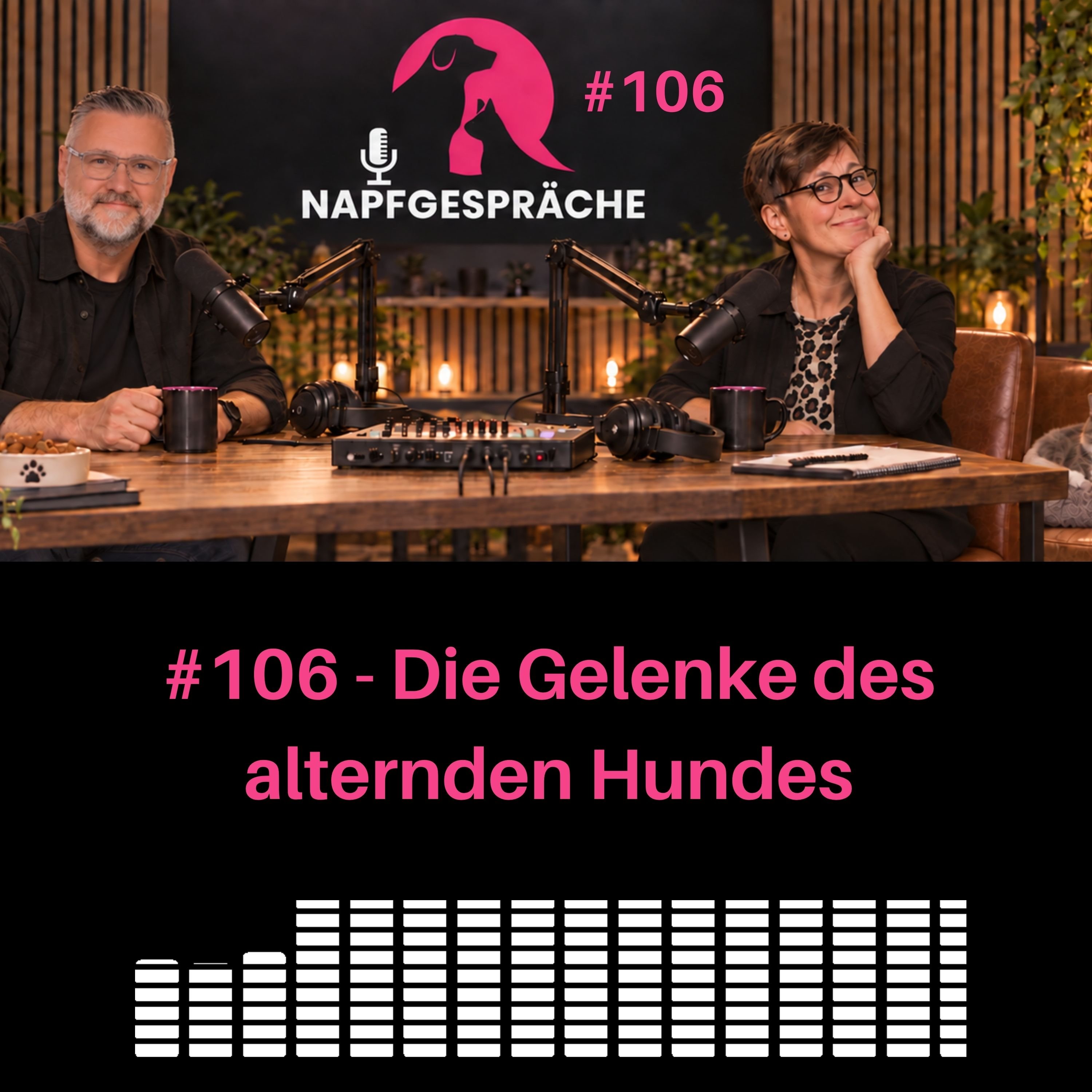 #106 - Die Gelenke des alternden Hundes episode artwork