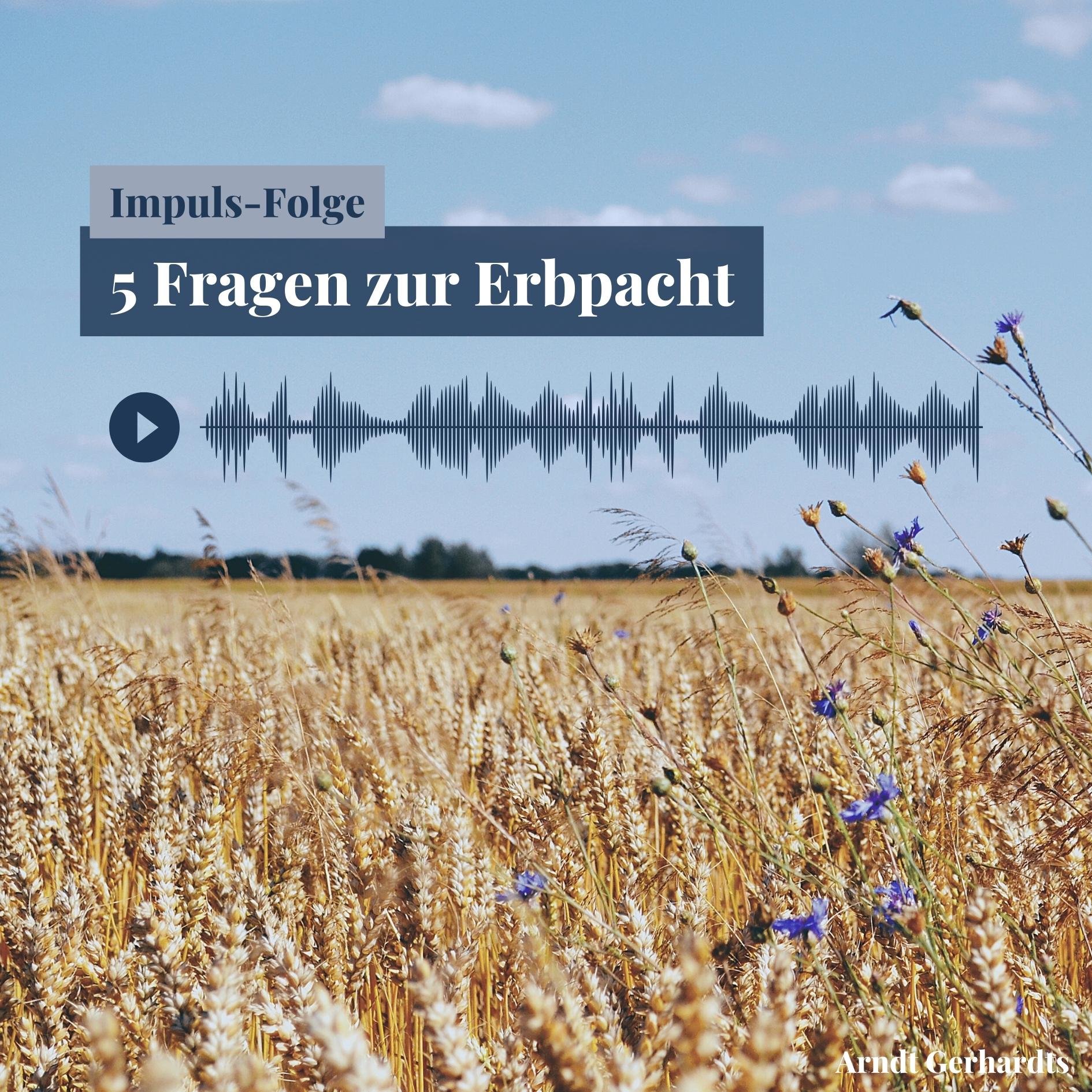 Arndts Immogedanken