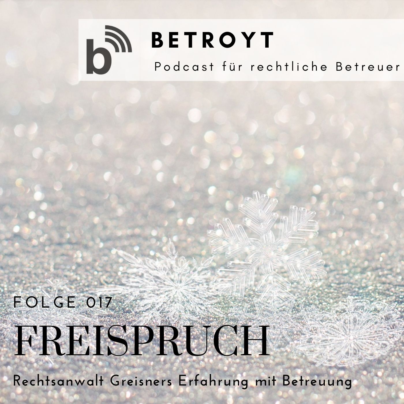 Folge 017 Freispruch - Rechtsanwalt Greisners Erfahrung mit Betreuung