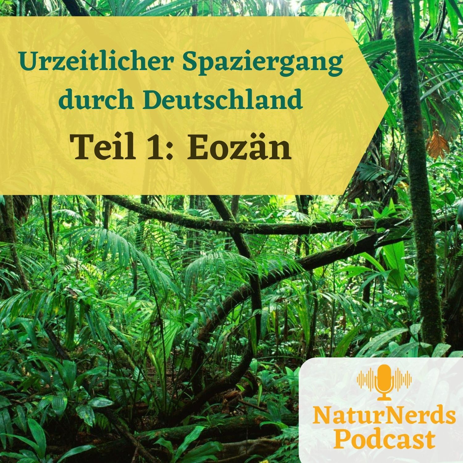 Urzeitlicher Spaziergang durch Deutschland Teil 1: Das Eozän