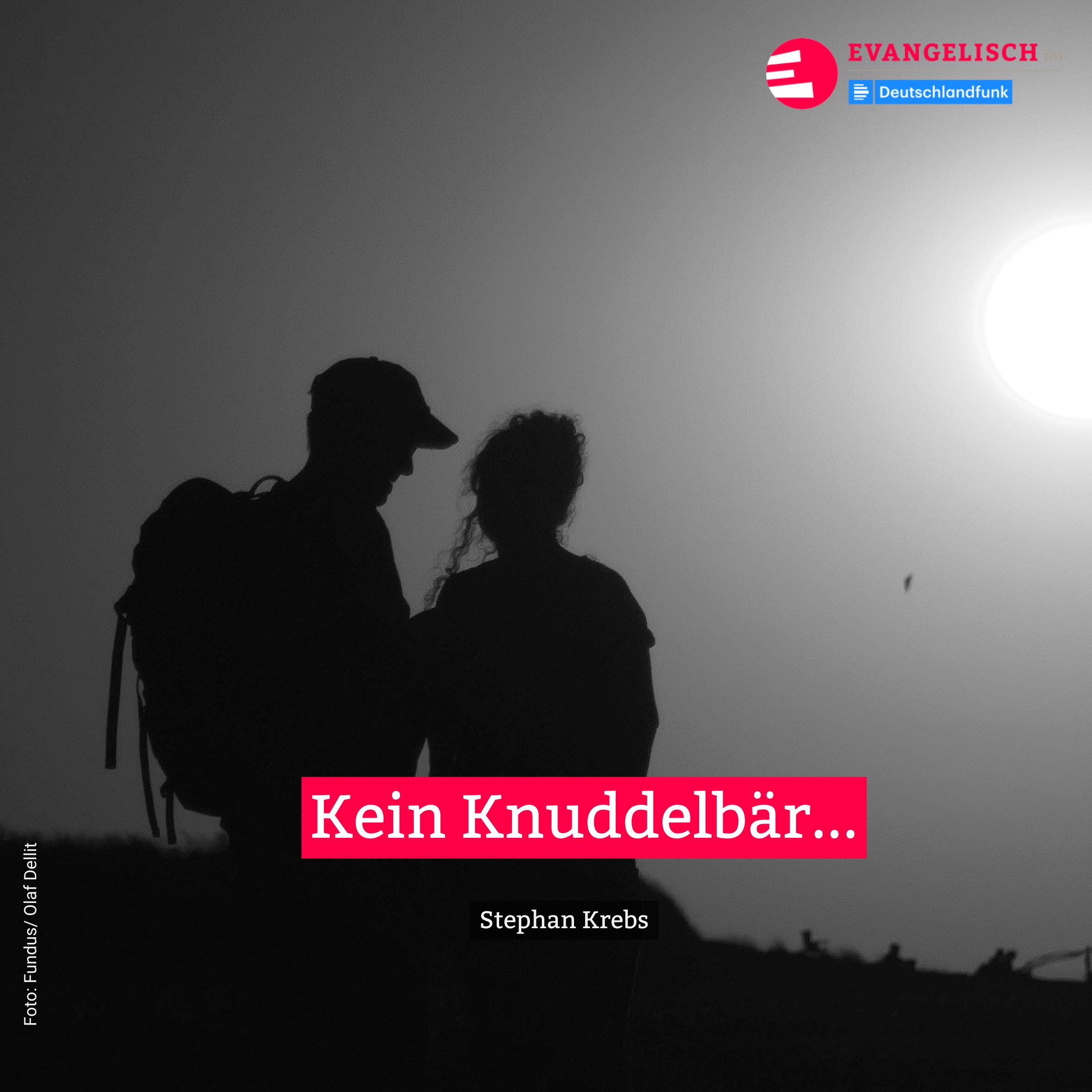 Kein Knuddelbär...
