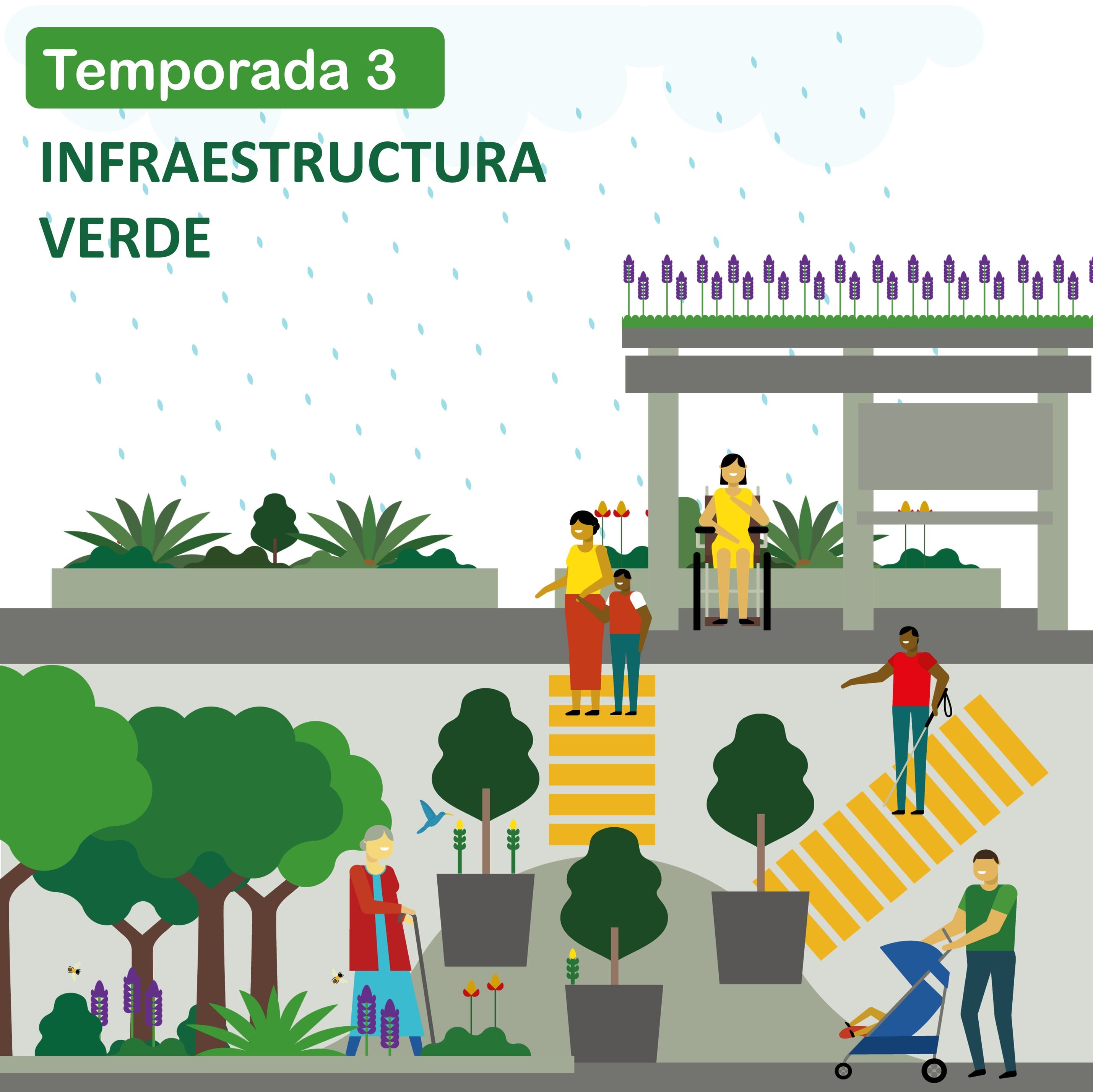 Ciudades y Transporte Sustentable