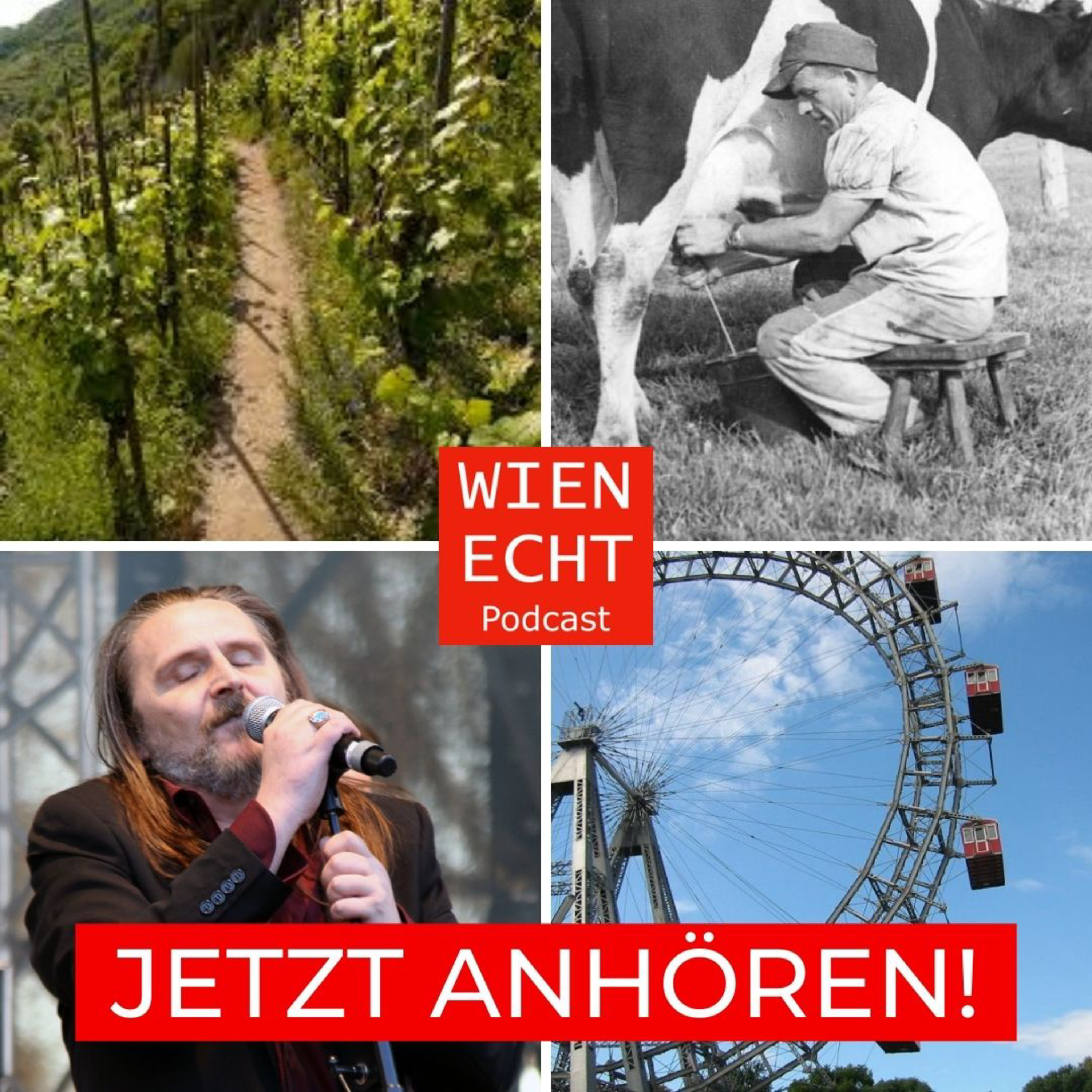 Wien echt