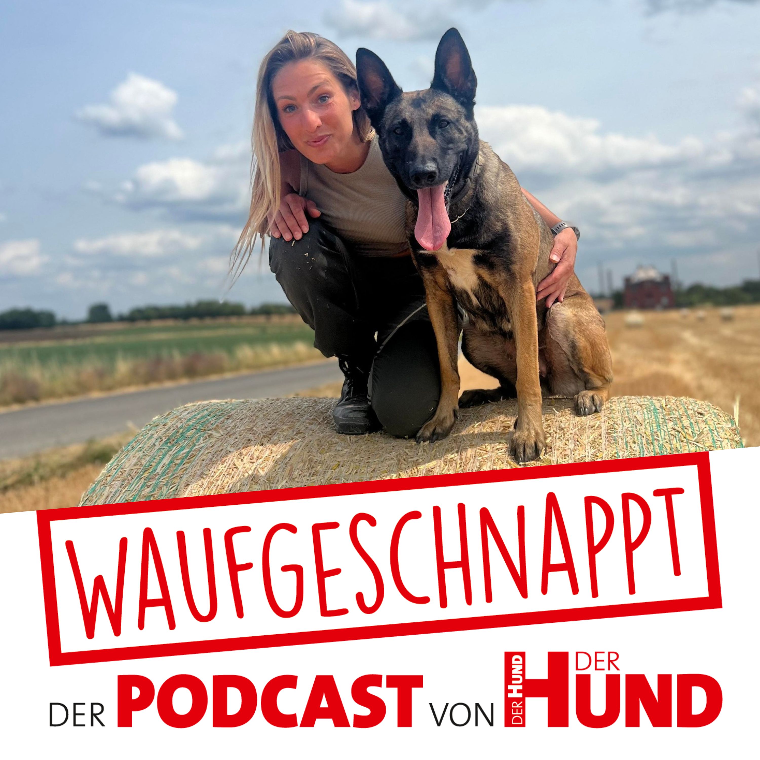 Zwang & Strafe im Hundetraining - Jennifer Falke