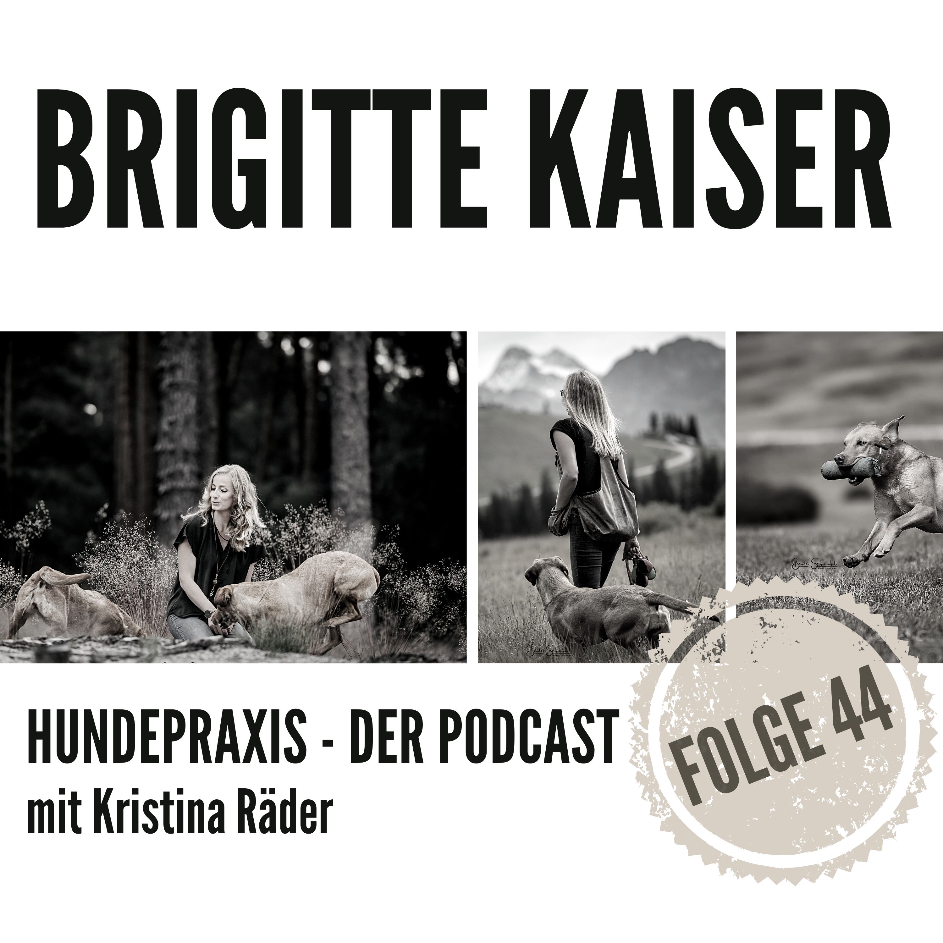 Hundepraxis - der Podcast