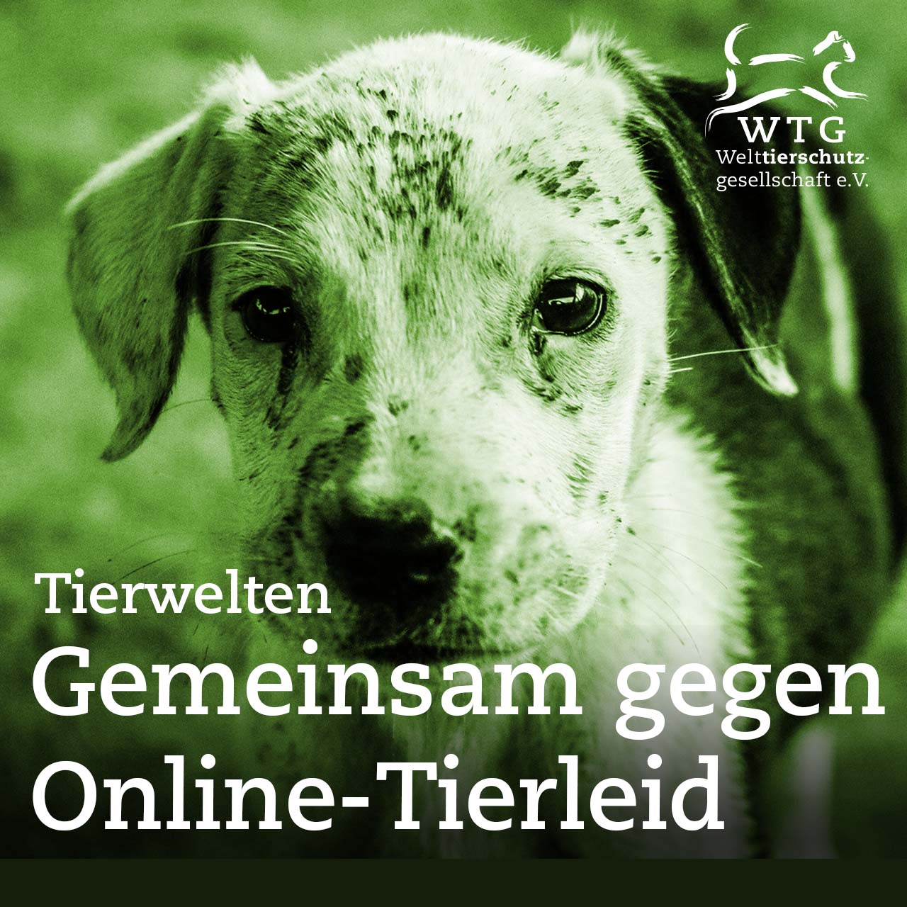 Tierwelten