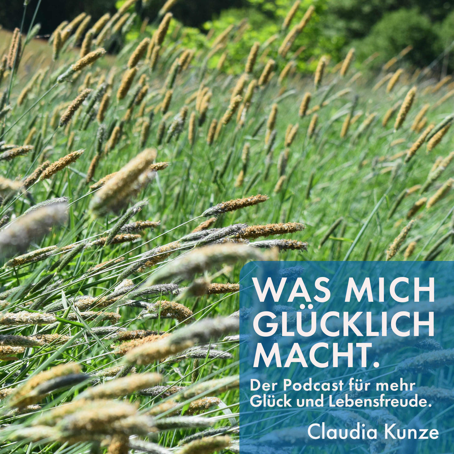 Was mich glücklich macht. Der Podcast für mehr Glück und Lebensfreude.