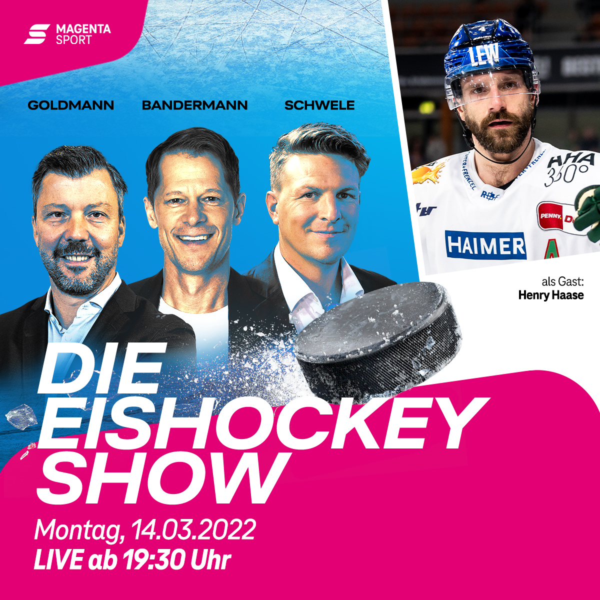 Die Eishockey Show